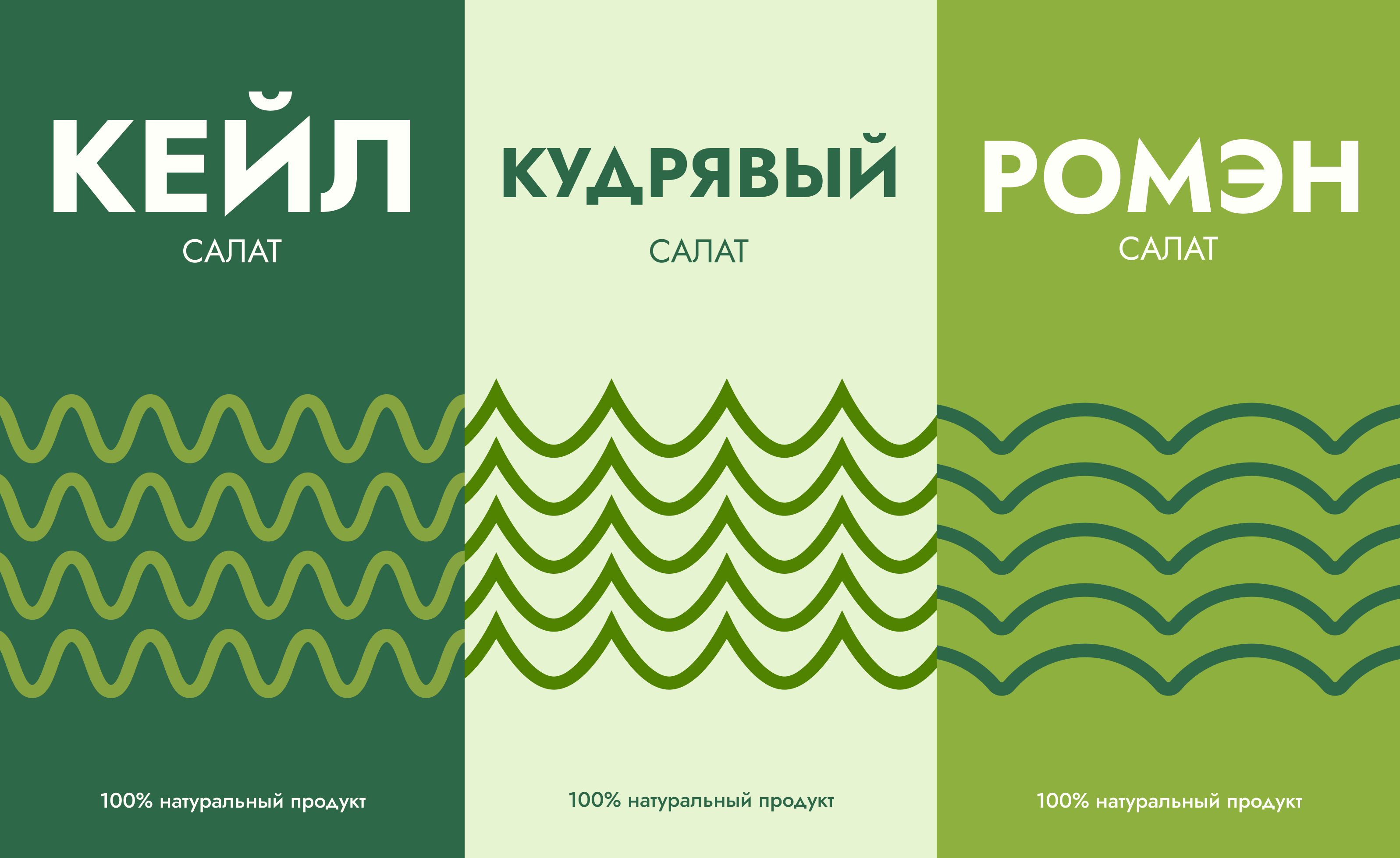 Дизайн упаковки — Изображение №1 — Брендинг на Dprofile