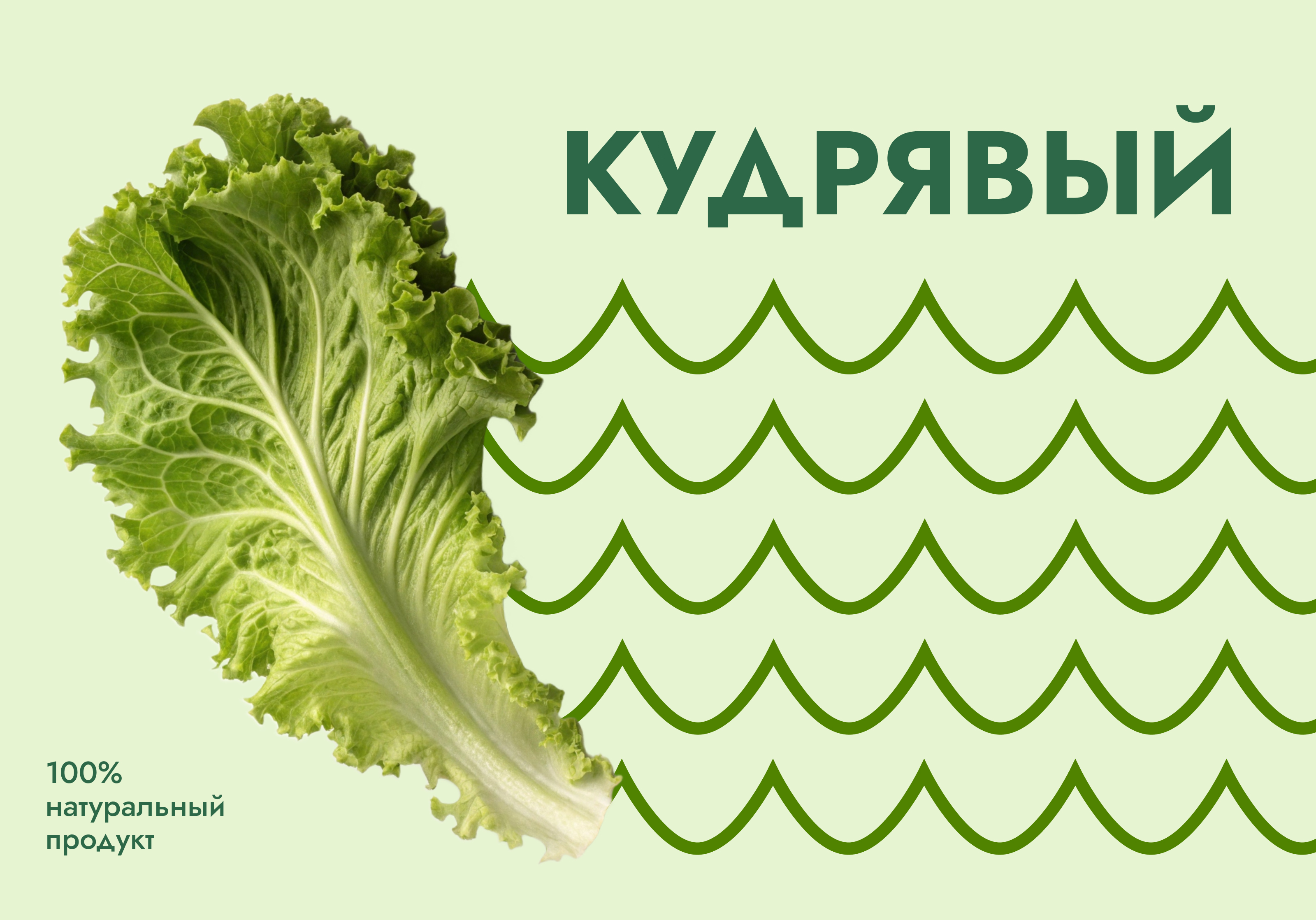 Дизайн упаковки — Изображение №5 — Брендинг на Dprofile