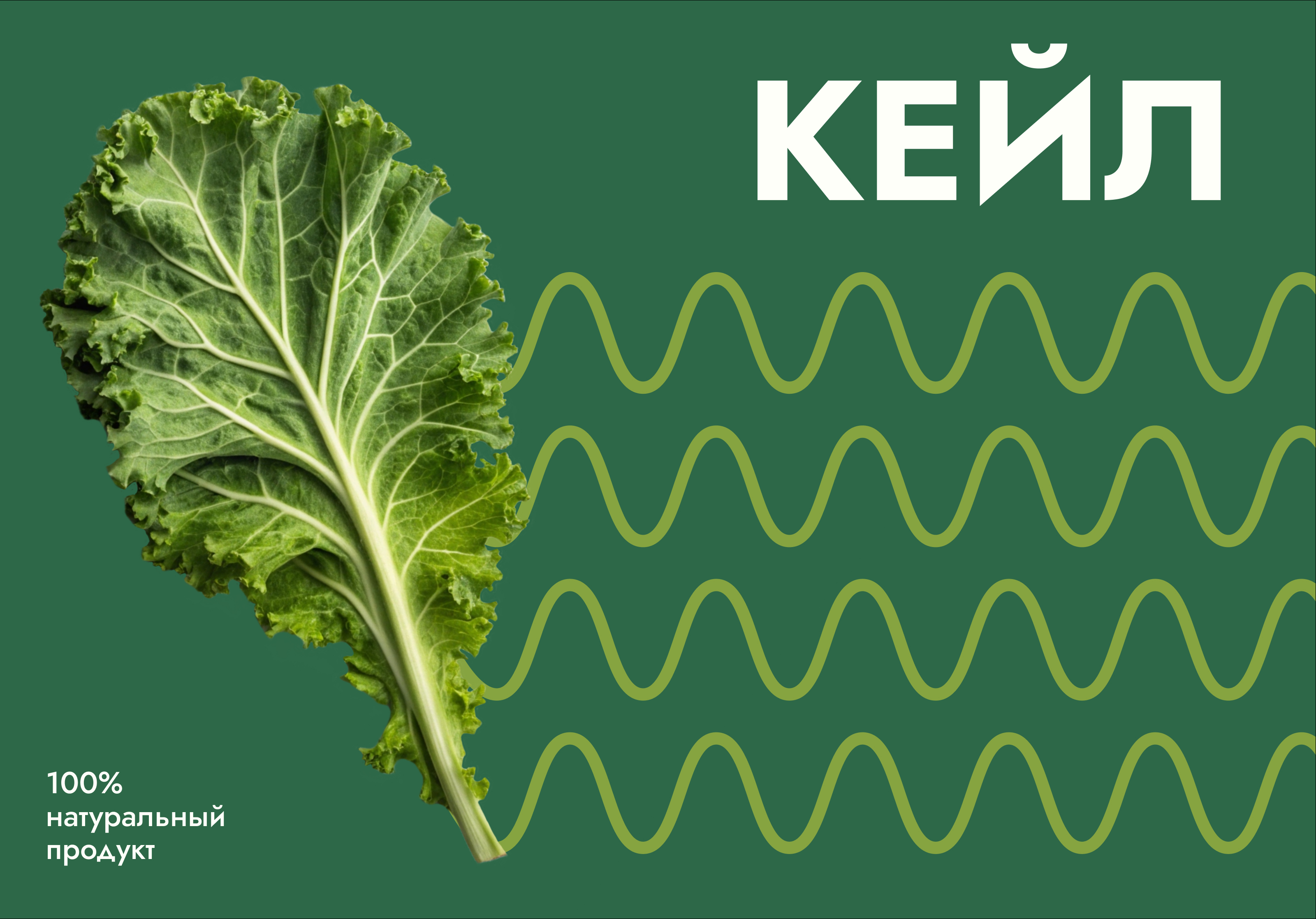 Дизайн упаковки — Изображение №3 — Брендинг на Dprofile