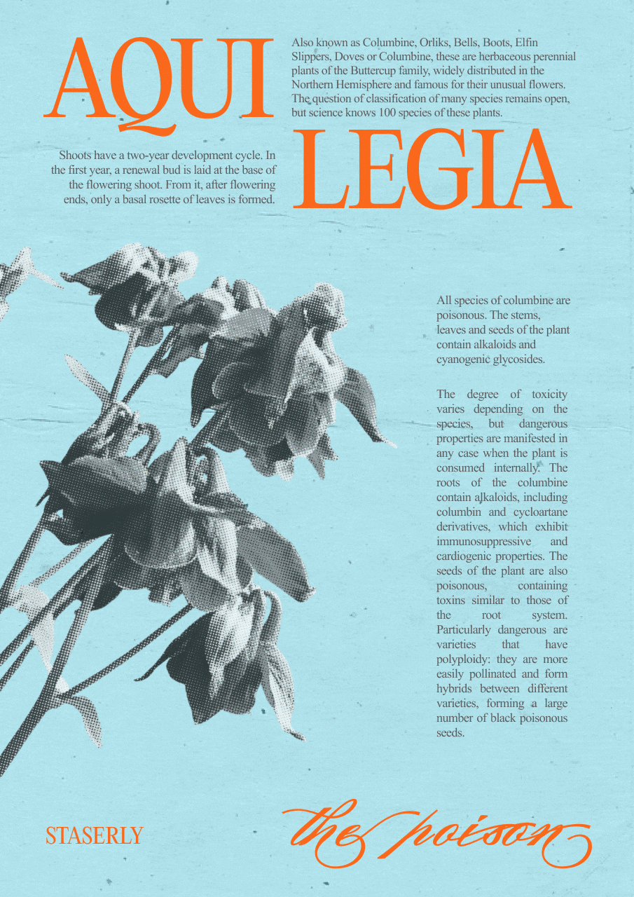 the poison | poster collection | posters design — Изображение №2 — Графика на Dprofile