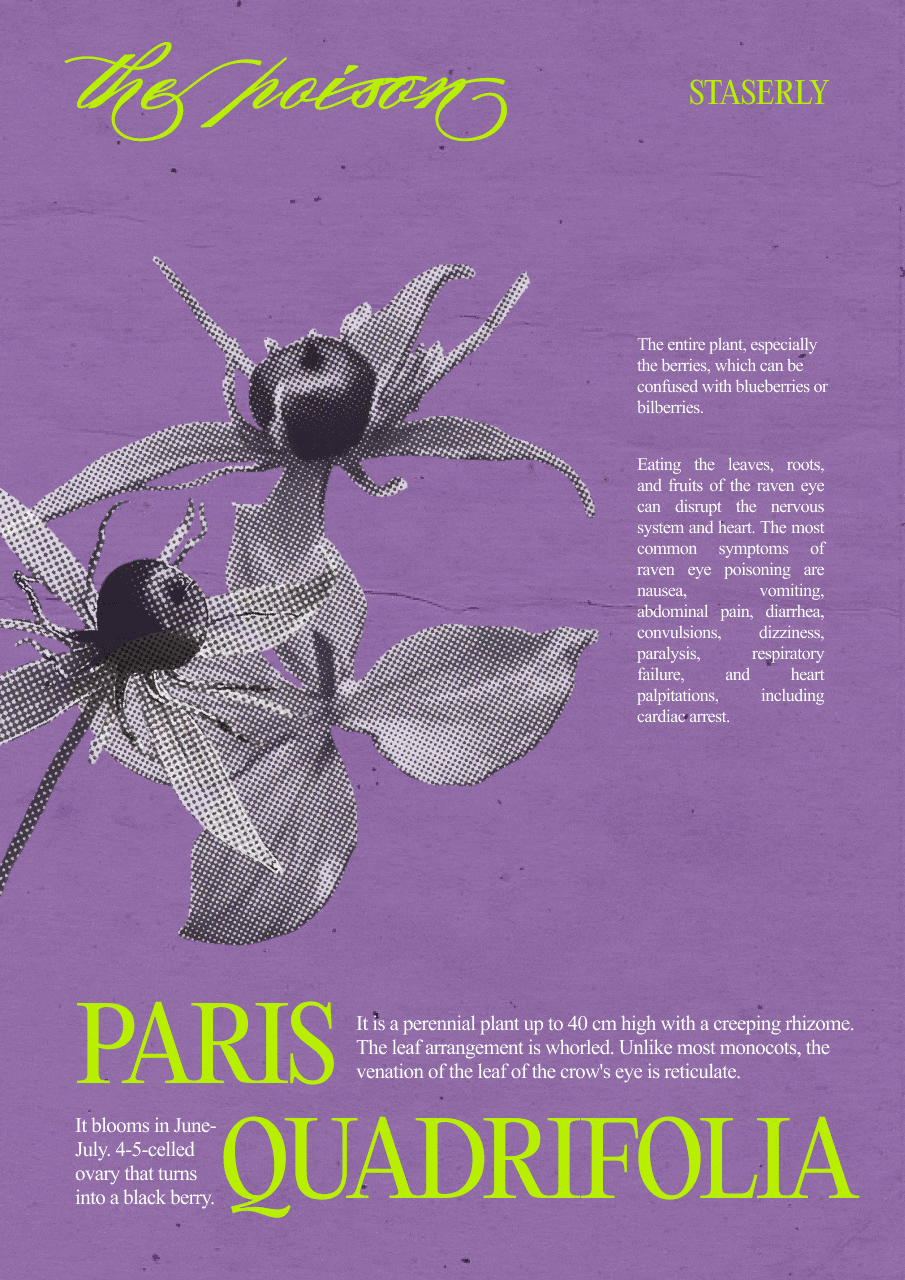 the poison | poster collection | posters design — Изображение №3 — Графика на Dprofile