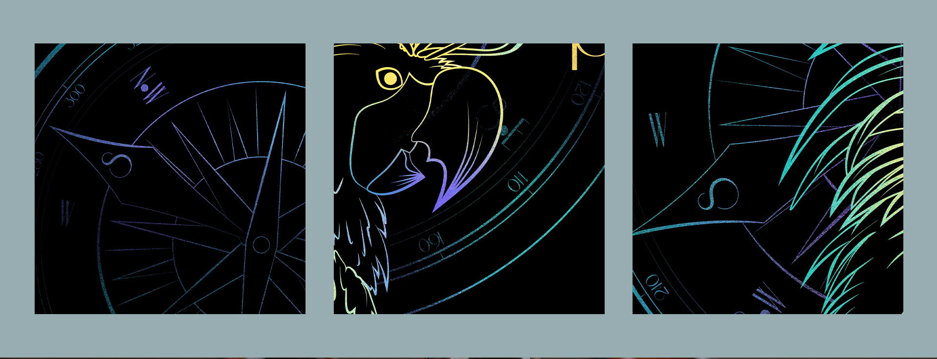 Дизайн упаковки пива "Pirate's parrot" — Изображение №9 — Брендинг, Иллюстрация на Dprofile