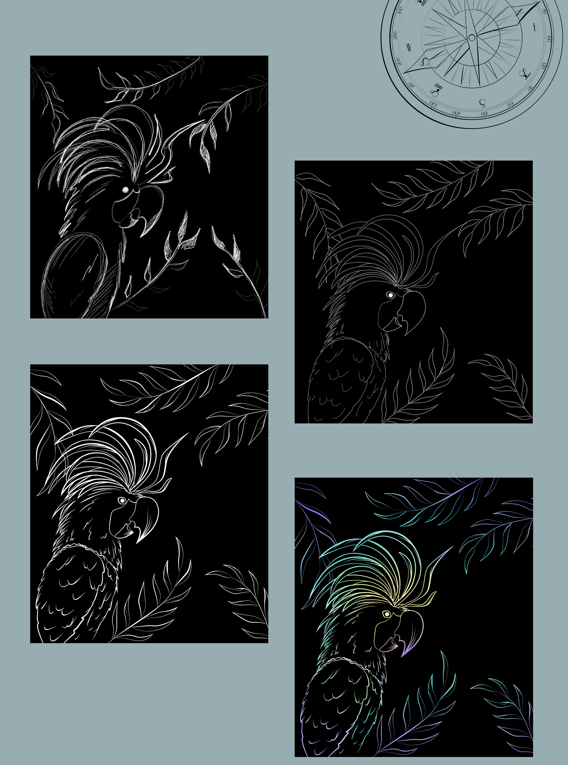 Дизайн упаковки пива "Pirate's parrot" — Изображение №3 — Брендинг, Иллюстрация на Dprofile