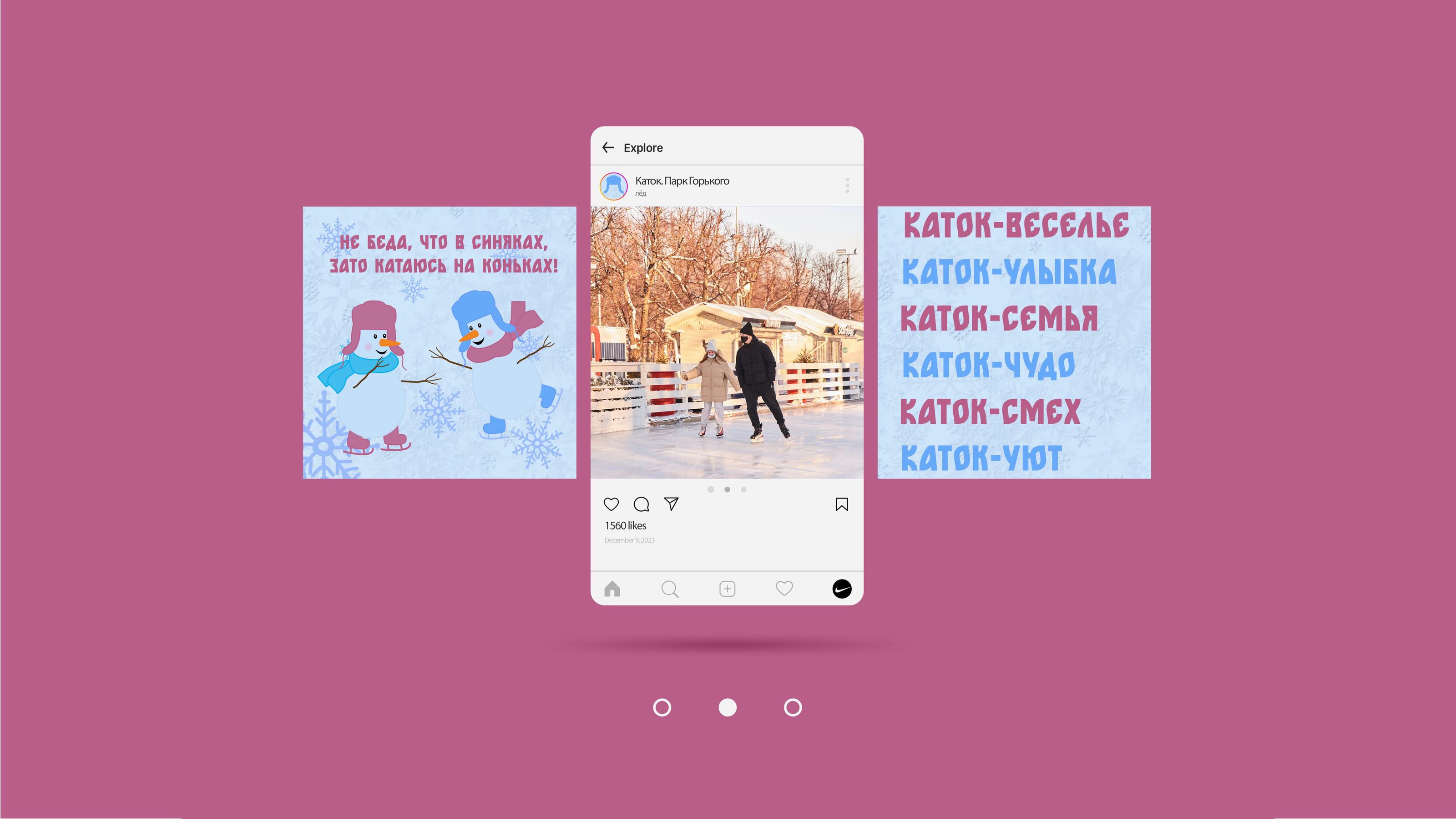 Каток в Парке Горького — Изображение №14 — Брендинг, Графика на Dprofile