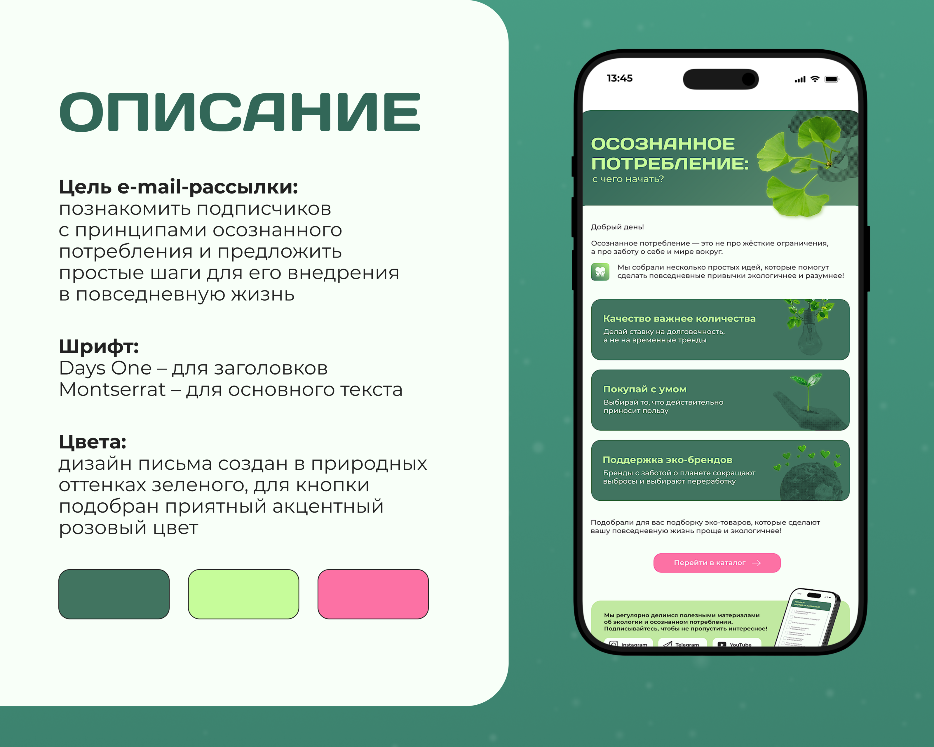 E-mail design / Дизайн e-mail-рассылки/ Дизайн письма — Изображение №2 — Графика, Маркетинг на Dprofile