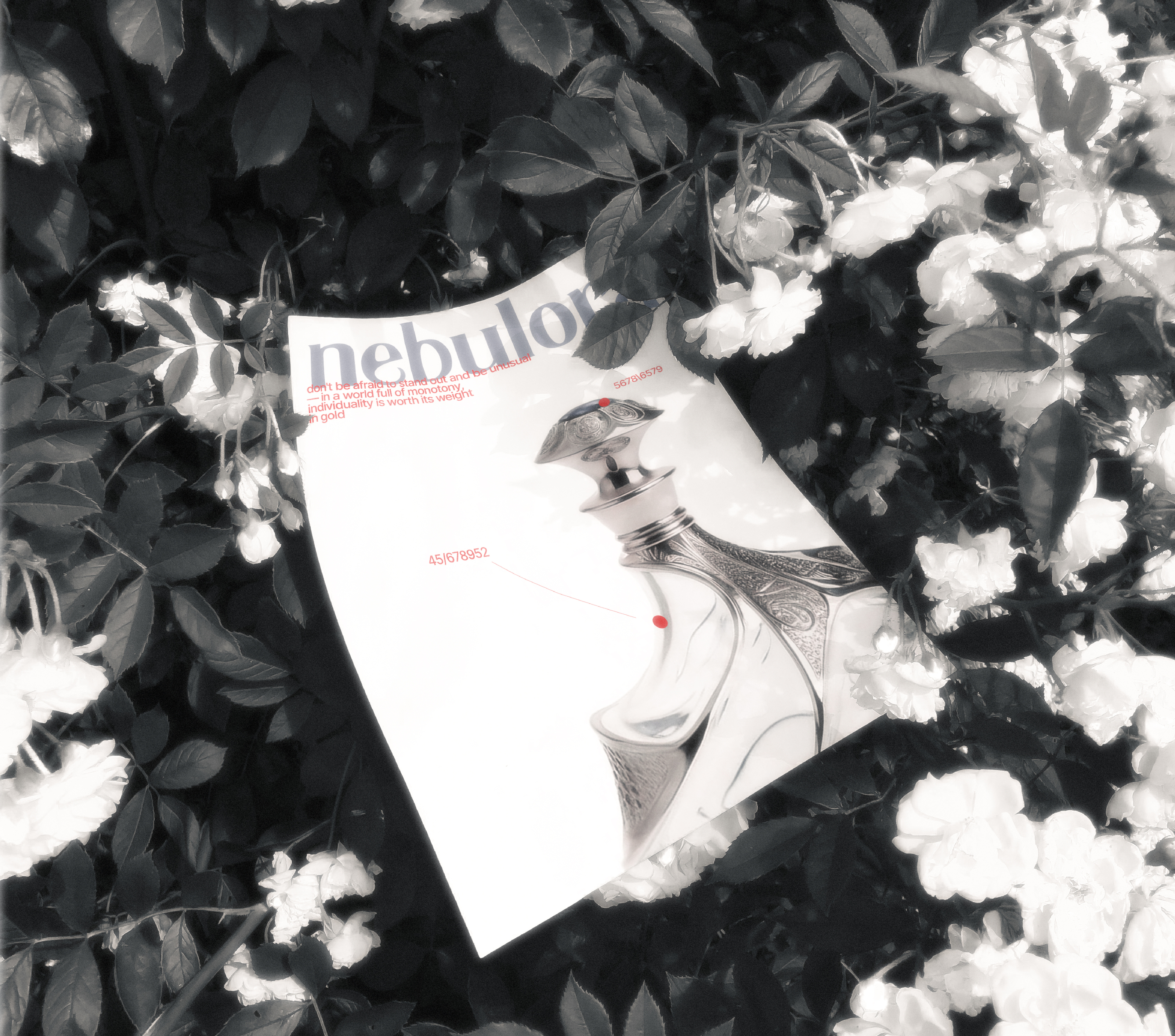 NEBULORA | ФИРМЕННЫЙ СТИЛЬ | БРЕНДИНГ | БРЕНД ДУХОВ | ПАРФЮМЕРИИ — Изображение №3 — Брендинг на Dprofile