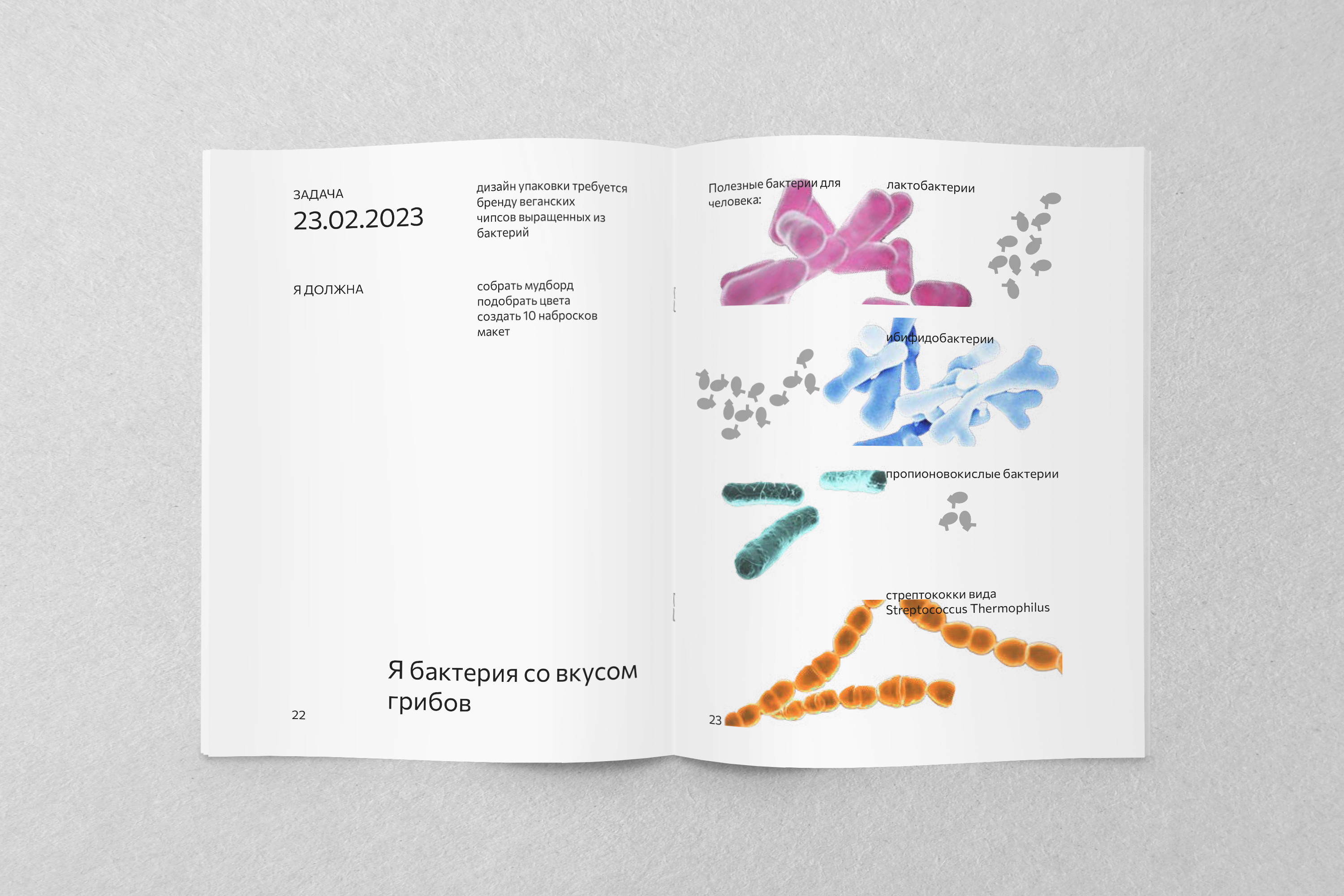 Зин ГОЛОВА И ДВА УХА — Изображение №12 — Графика на Dprofile