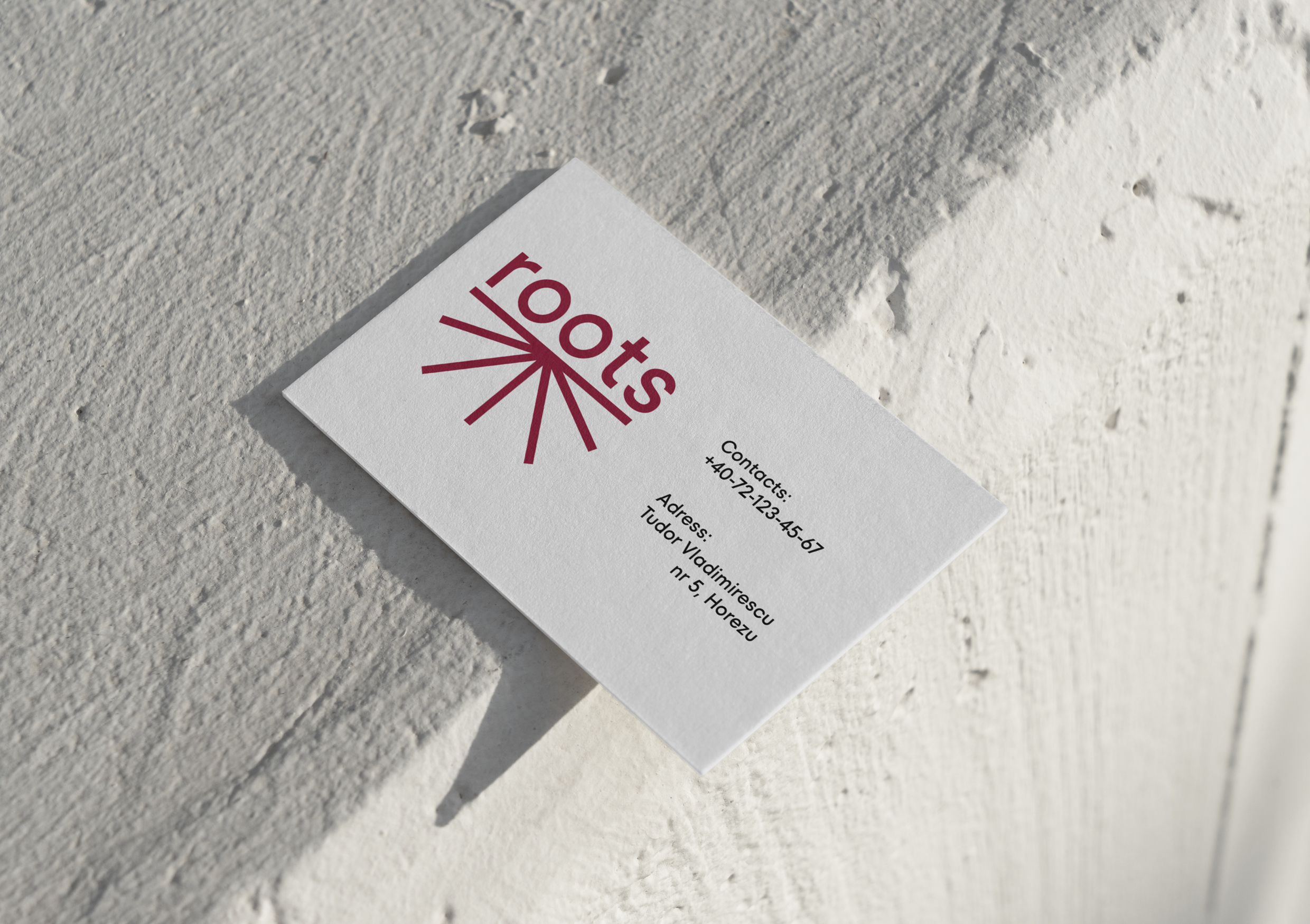 Roots — Изображение №19 — Брендинг, Графика на Dprofile