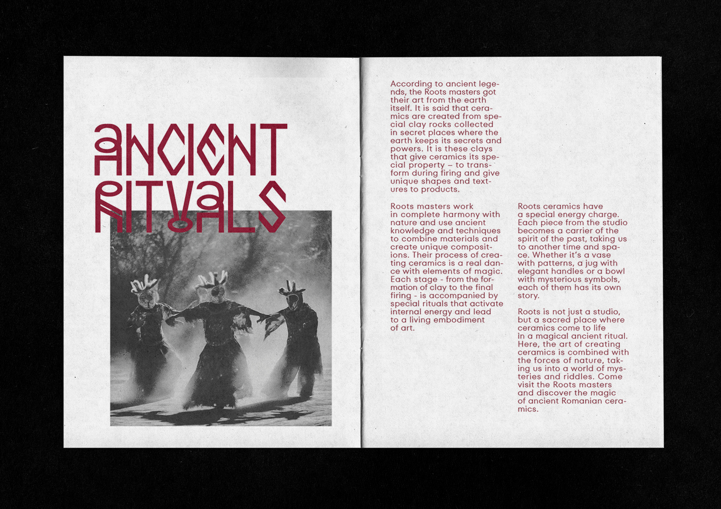 Roots — Изображение №30 — Брендинг, Графика на Dprofile