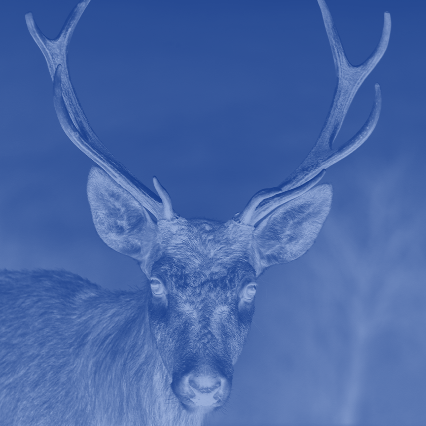 Аватар пользователя Александра Яблочкина