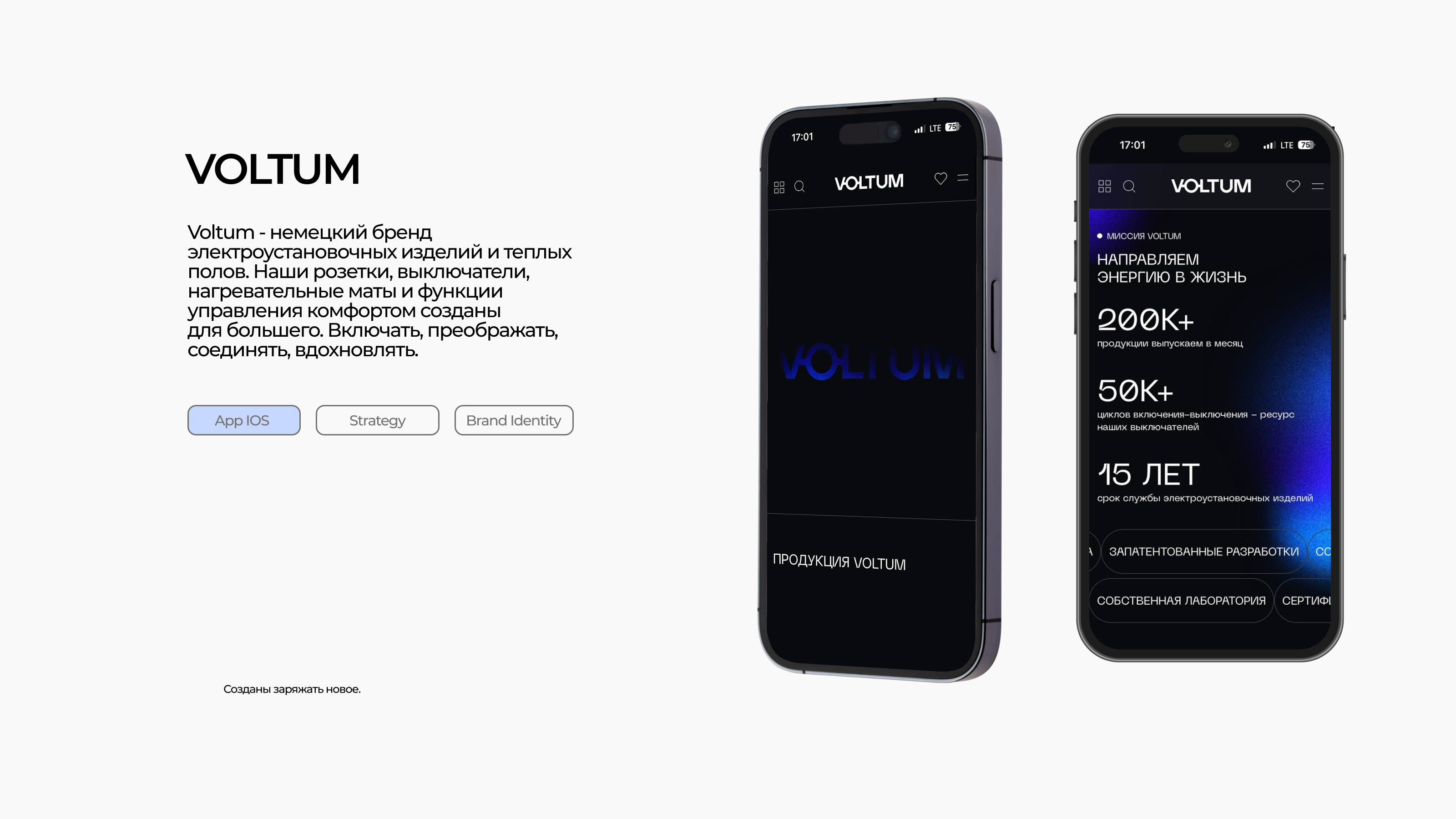 Портфолио | Melnik Bogdan — Изображение №14 — Брендинг на Dprofile