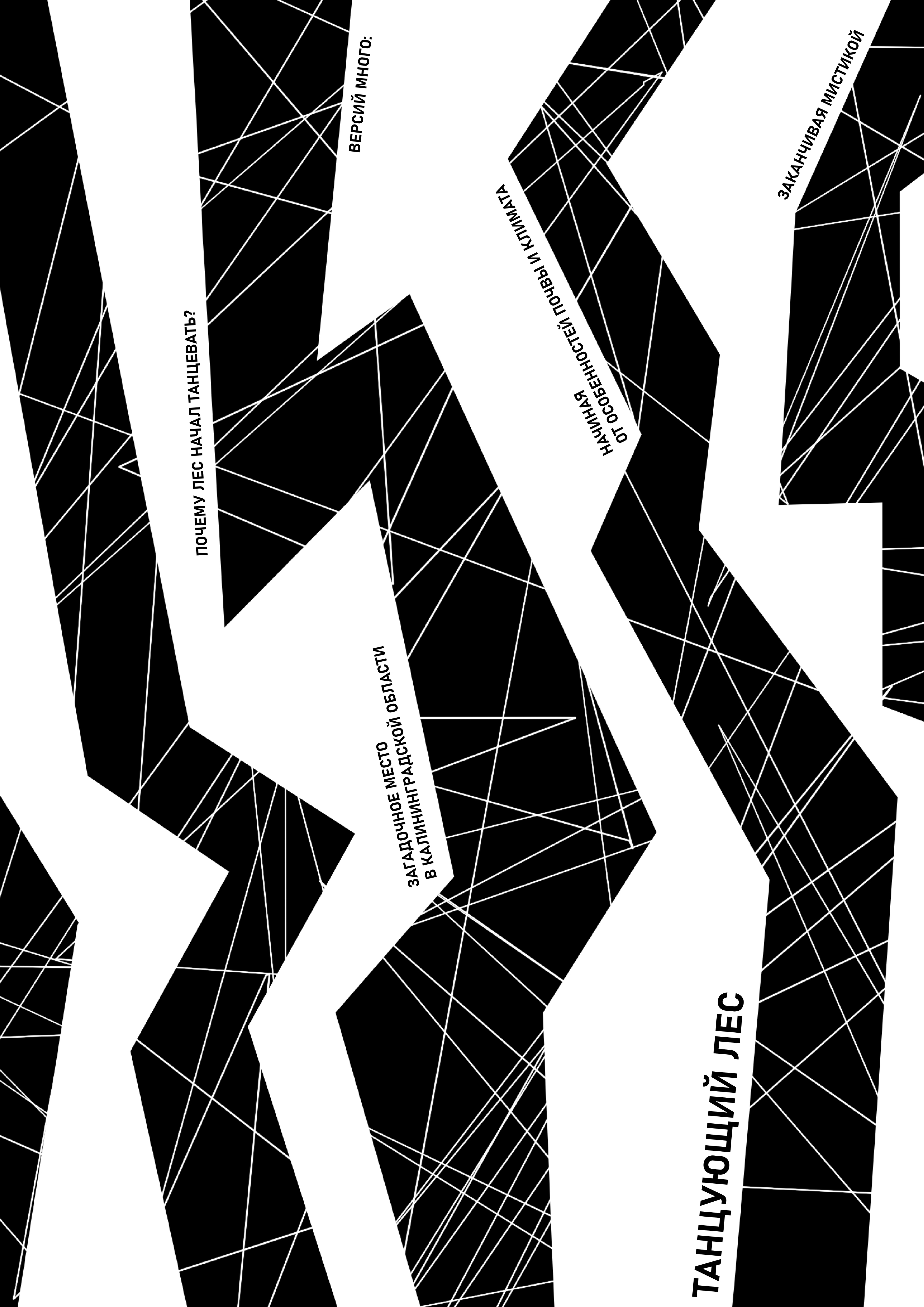 Калининград. Плакаты "Идентичность городов России" — Изображение №6 — Графика на Dprofile
