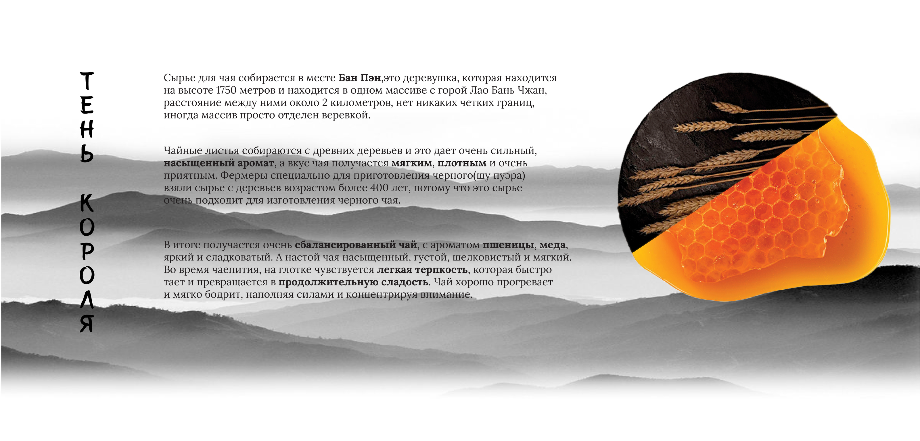 Качаем дизайн/2024 — Изображение №3 — Брендинг, Графика на Dprofile