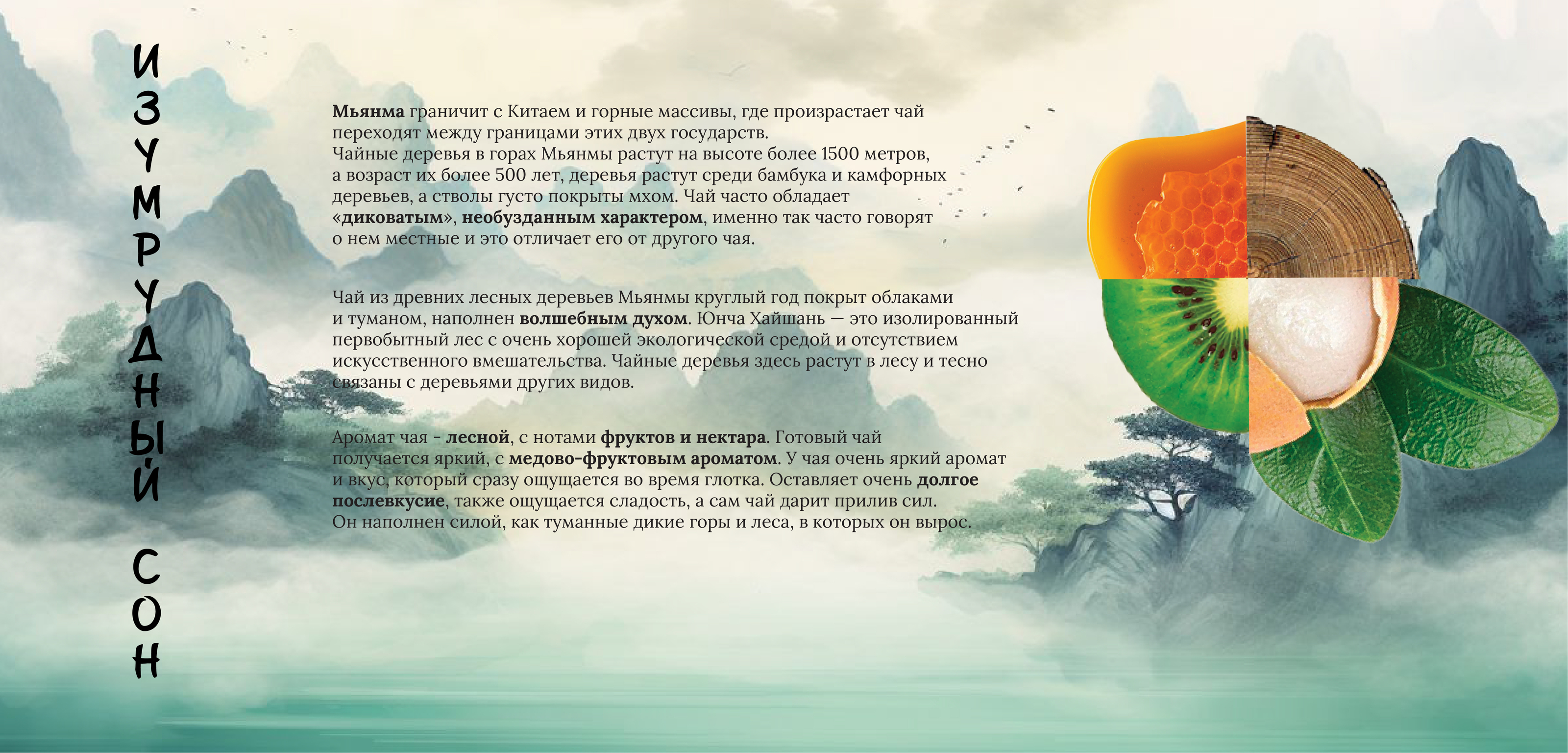 Качаем дизайн/2024 — Изображение №5 — Брендинг, Графика на Dprofile