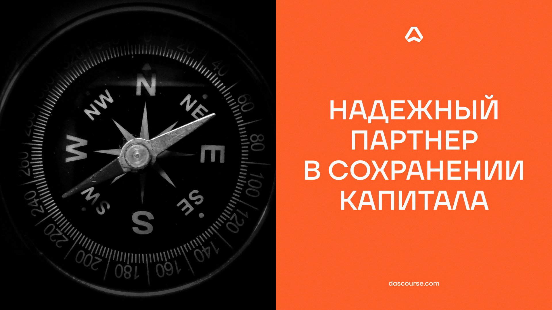 DASCOURSE: курс на успех — Изображение №12 — Брендинг на Dprofile