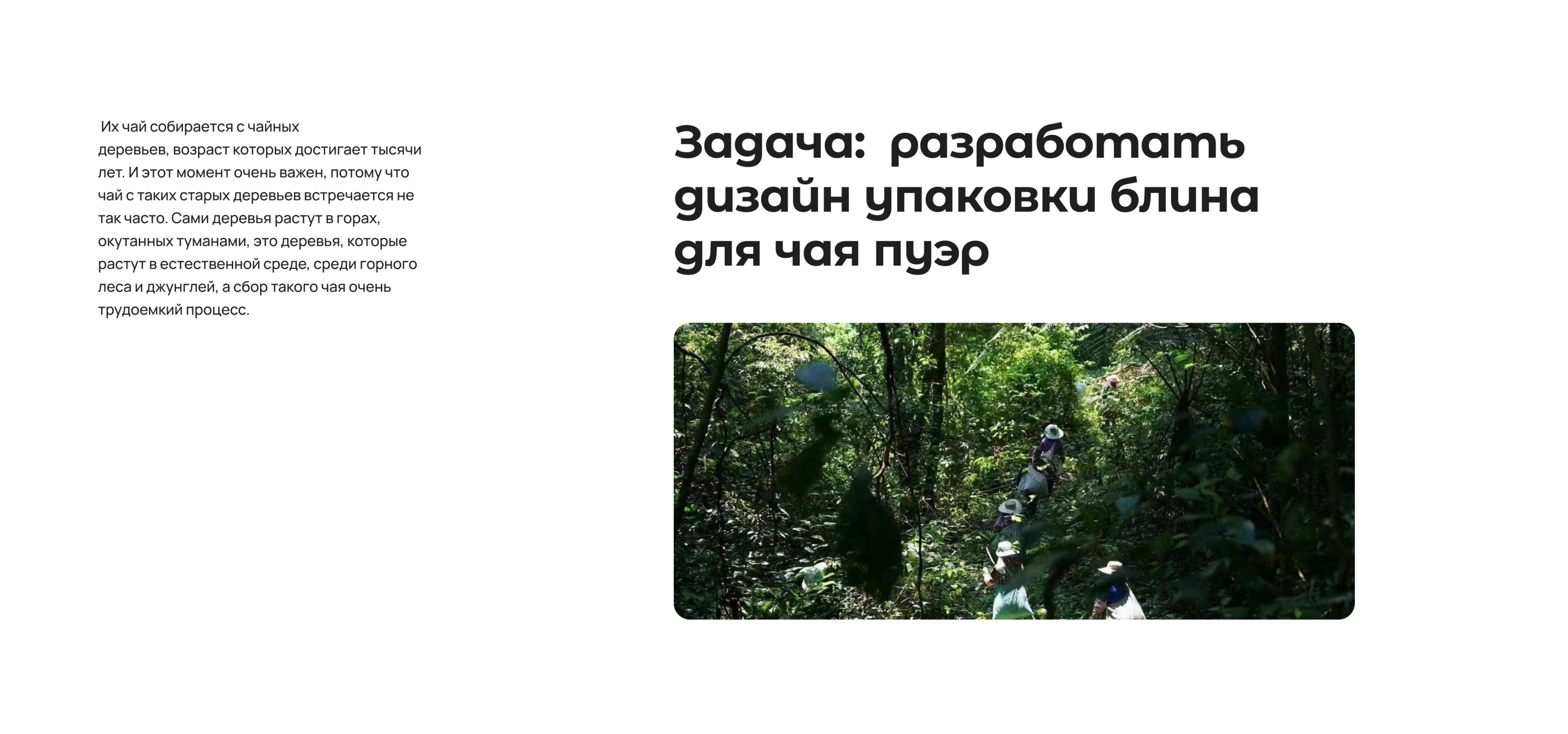 Качаем дизайн // 2024 — Изображение №2 — Брендинг, Графика на Dprofile