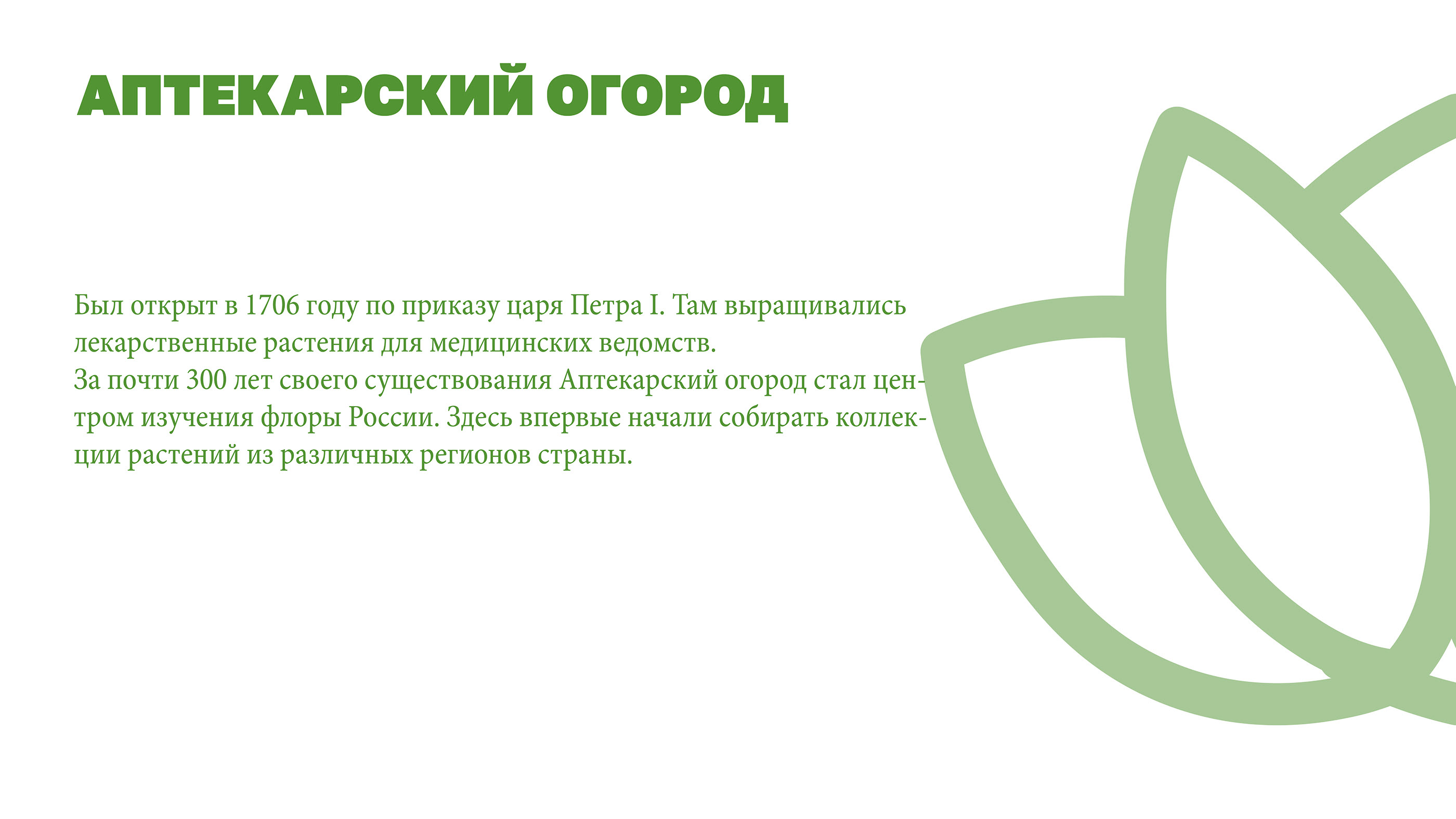 Лого и навигация "Аптекарский огород" — Изображение №2 — Брендинг, Графика на Dprofile
