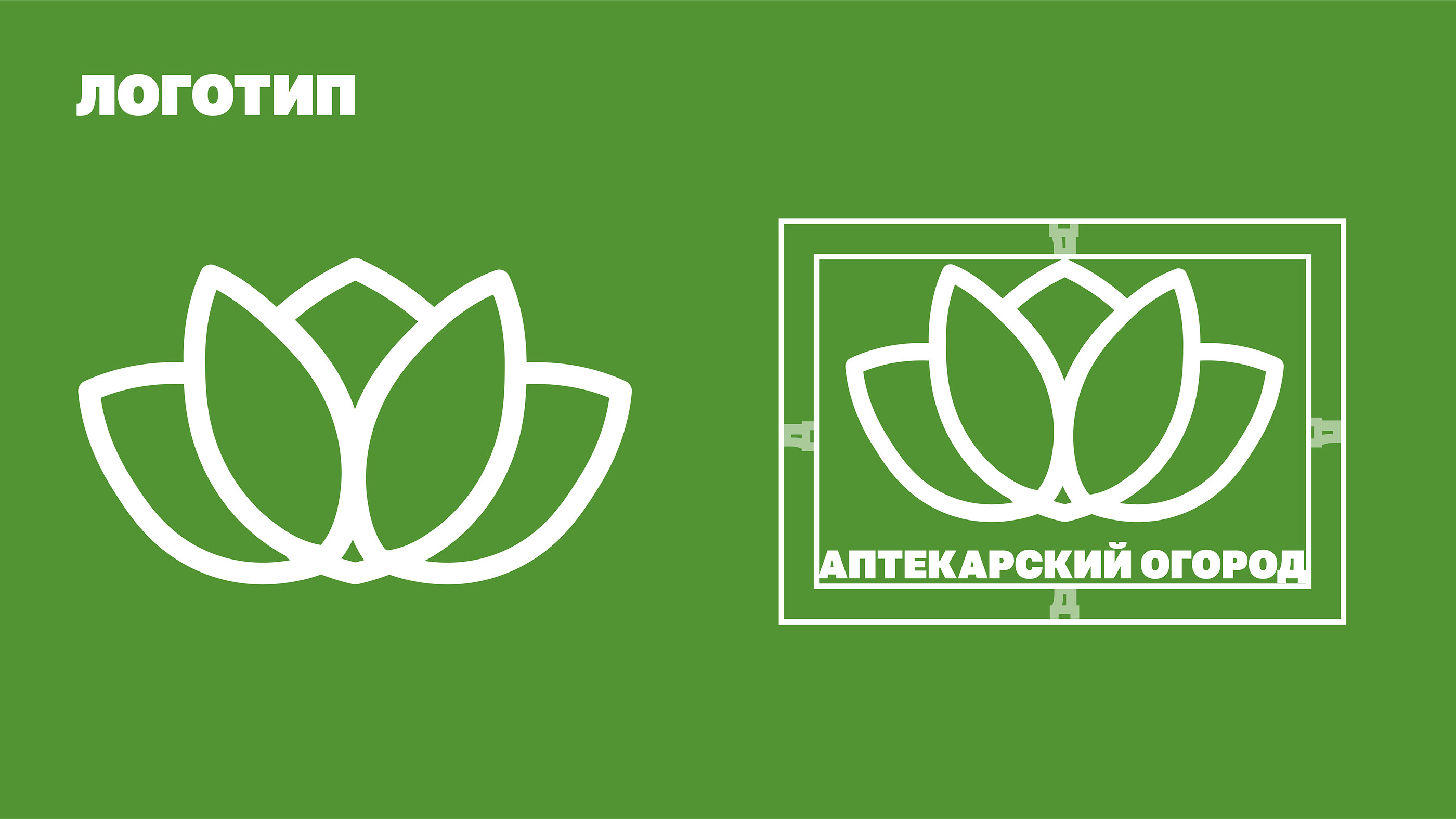 Лого и навигация "Аптекарский огород" — Изображение №3 — Брендинг, Графика на Dprofile