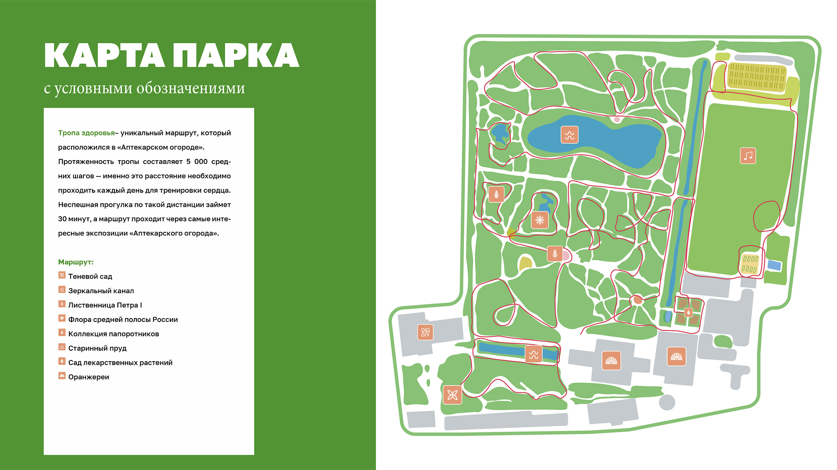 Лого и навигация "Аптекарский огород" — Изображение №7 — Брендинг, Графика на Dprofile