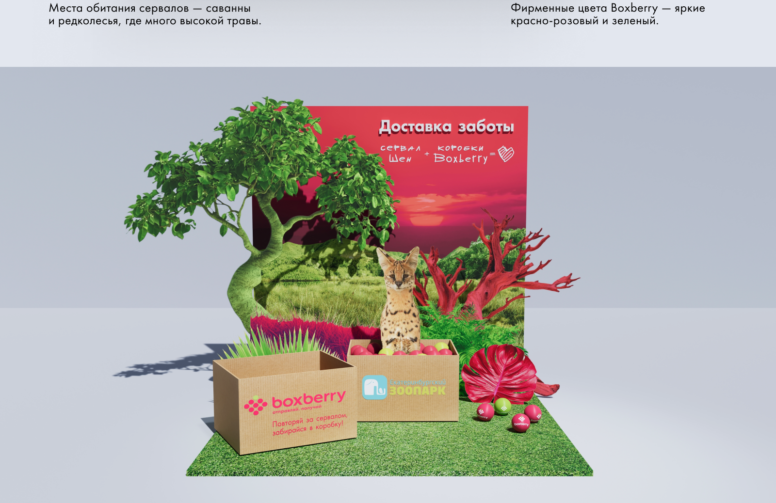 Boxberry. Фотозона с сервалом в зоопарке — Изображение №4 — 3D, Маркетинг на Dprofile
