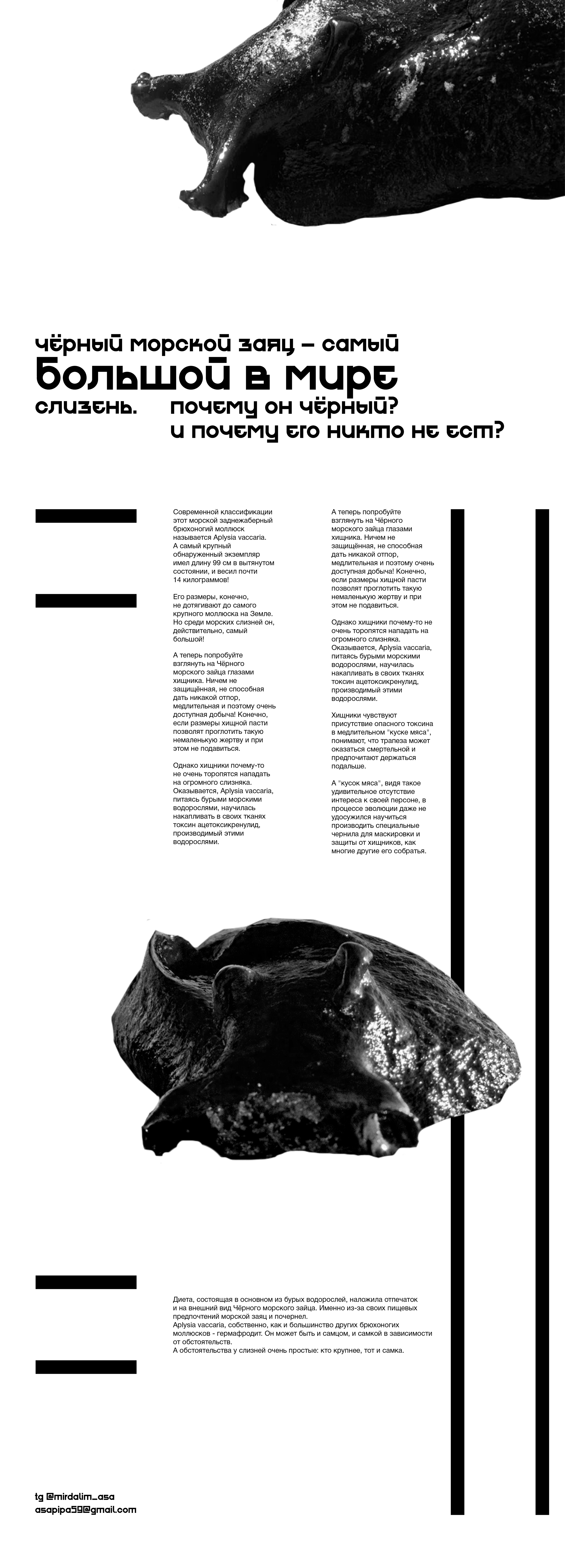 Слизень | Лонгрид — Изображение №1 — Графика на Dprofile