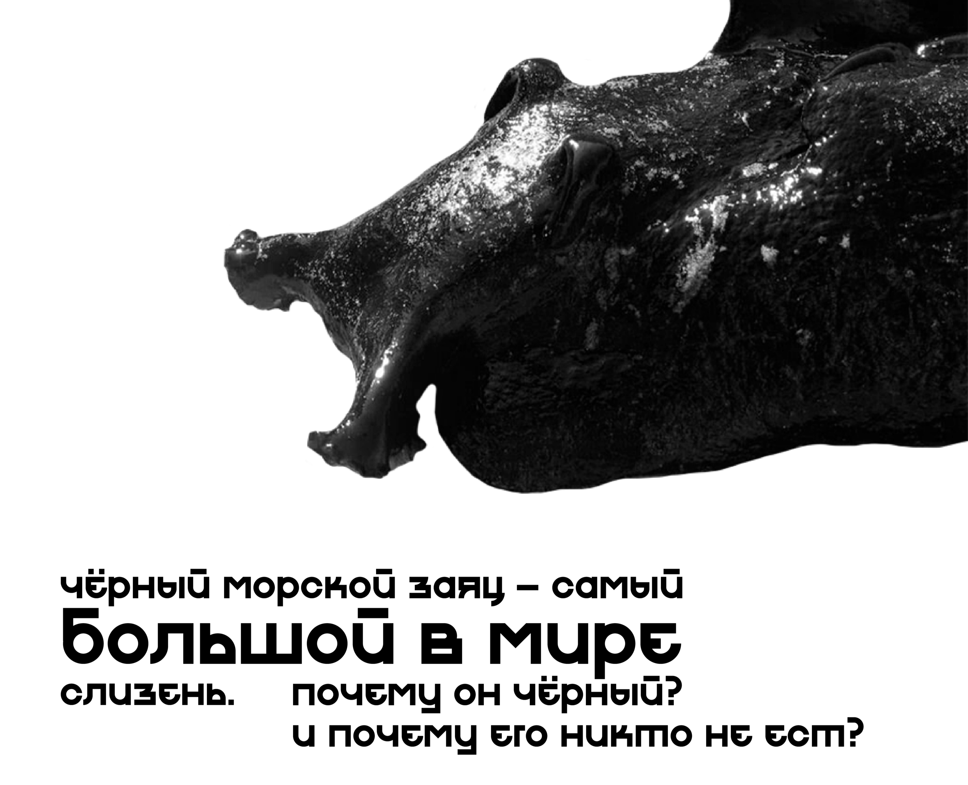 Слизень | Лонгрид — Графика на Dprofile