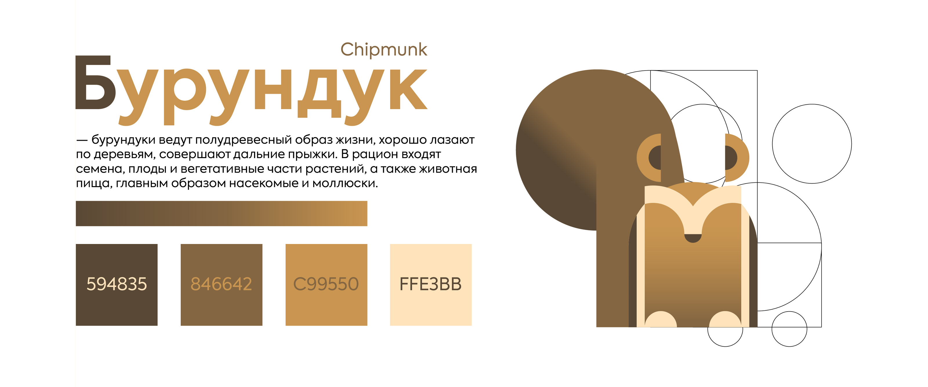 Пиктограммы для зоопарка (грызуны) — Изображение №5 — Графика на Dprofile