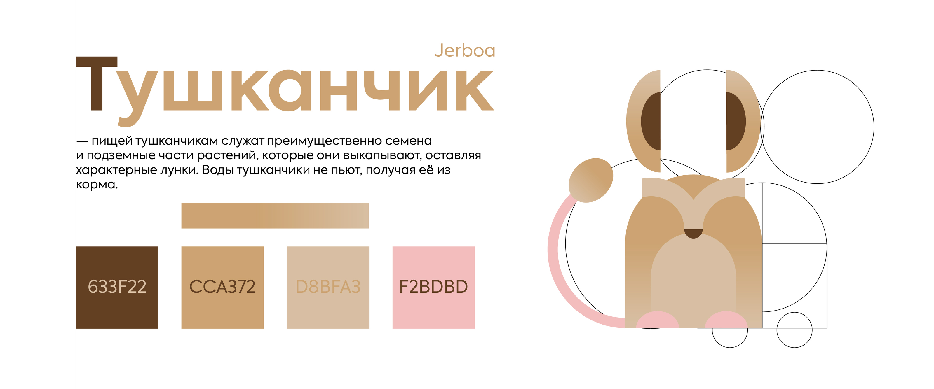 Пиктограммы для зоопарка (грызуны) — Изображение №10 — Графика на Dprofile
