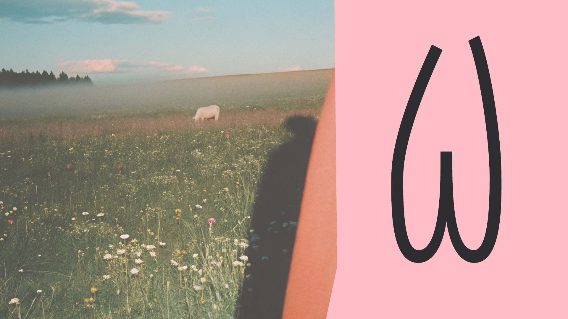 Tulpee font — Изображение №12 — Графика на Dprofile