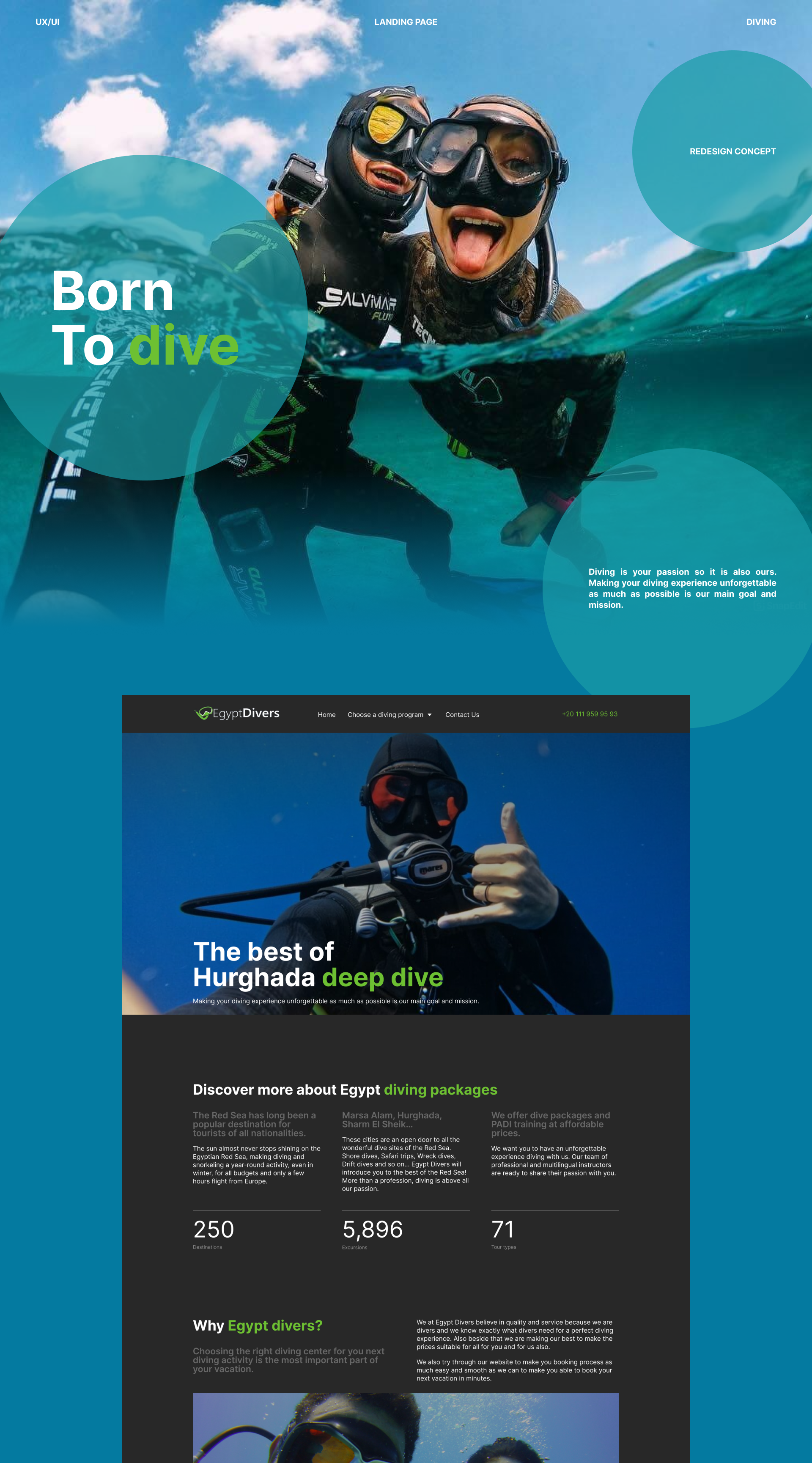 Egypt Divers | Landing page — Изображение №1 — Интерфейсы на Dprofile