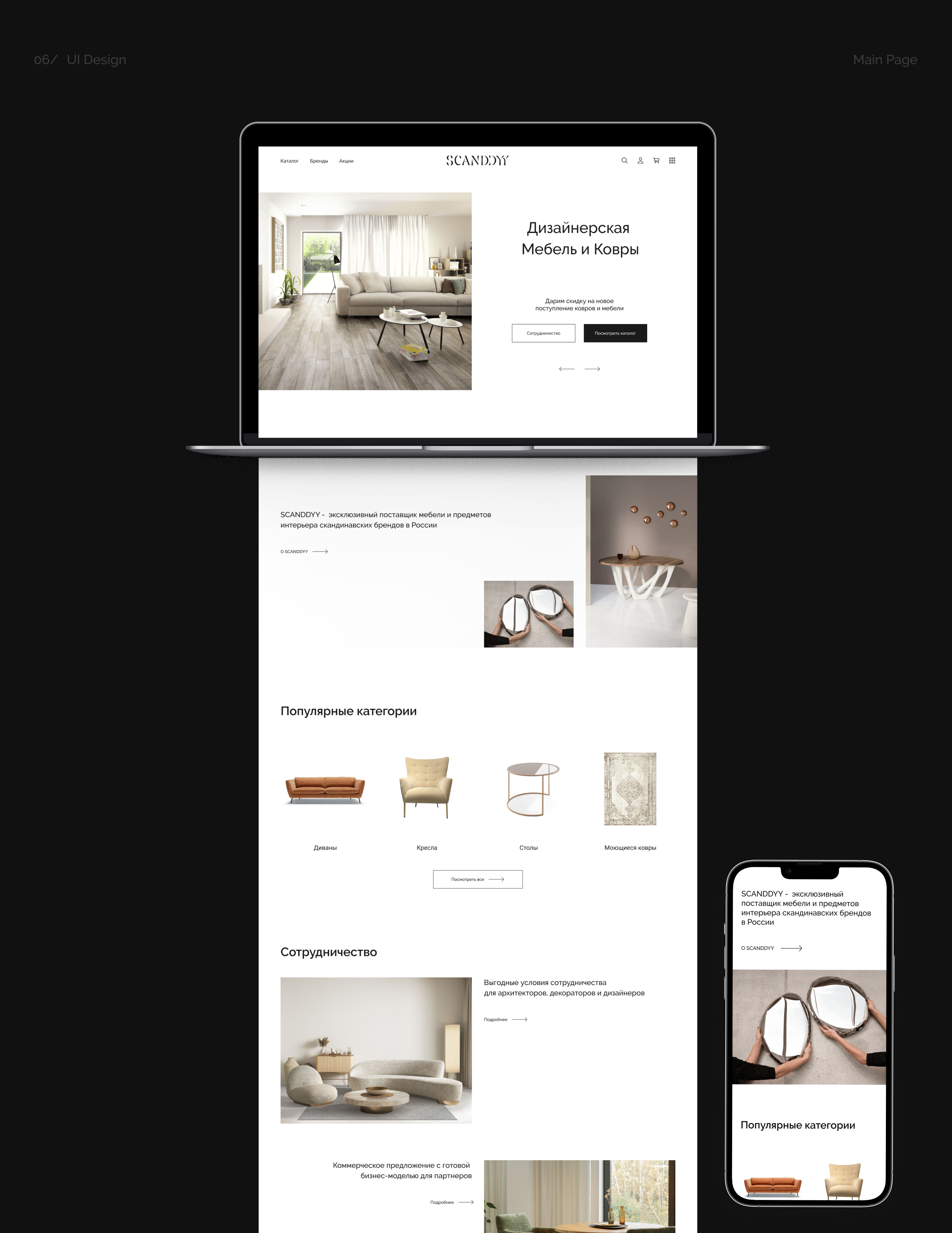 Scanddyy Studio | Redesign Concept | E-Commerce | UX/UI — Изображение №4 — Интерфейсы, Маркетинг на Dprofile