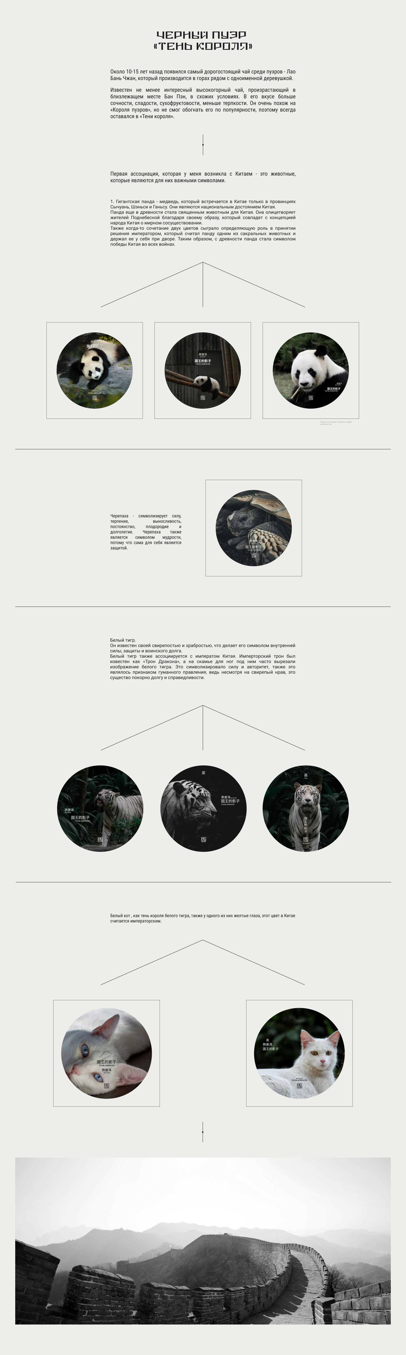 TEA PACKING (competition) — Изображение №2 — Брендинг, Графика на Dprofile