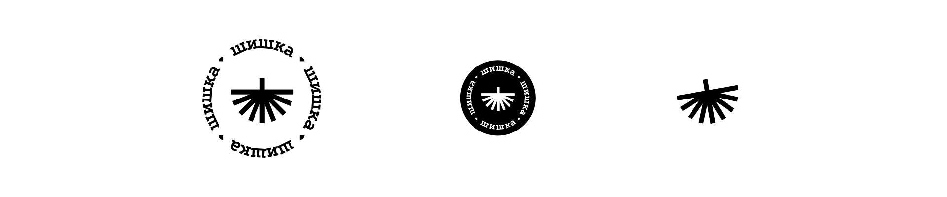 Шишка — Изображение №2 — Брендинг на Dprofile