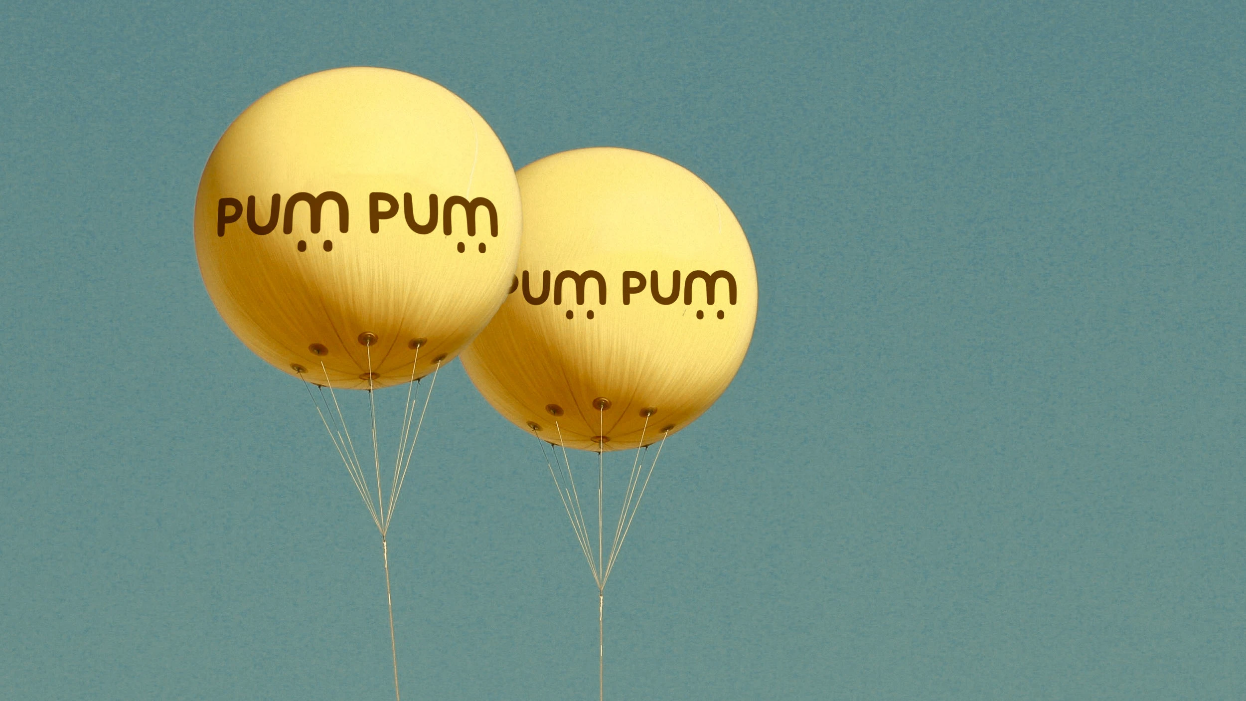 айдентика бренда декоративных фигурок pum pum — Изображение №15 — Брендинг, 3D на Dprofile