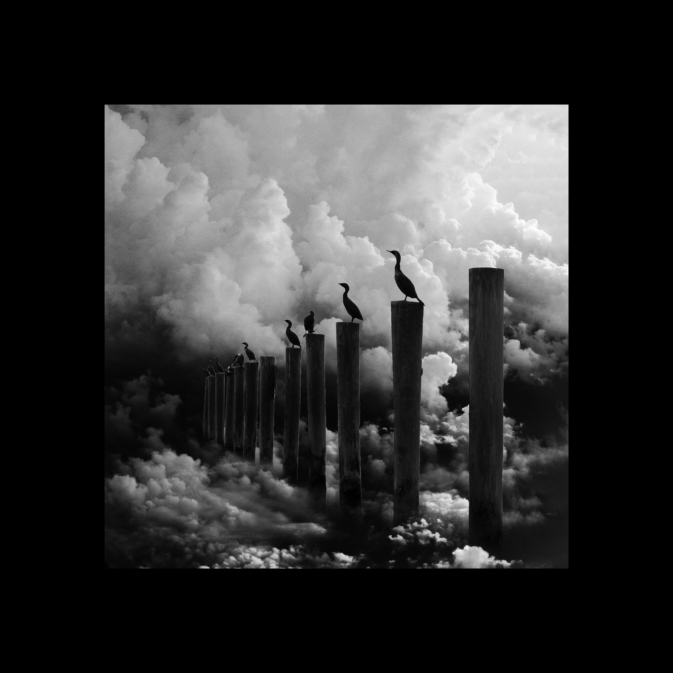 Сollages, 2020 | Black and white — Изображение №13 — Графика на Dprofile