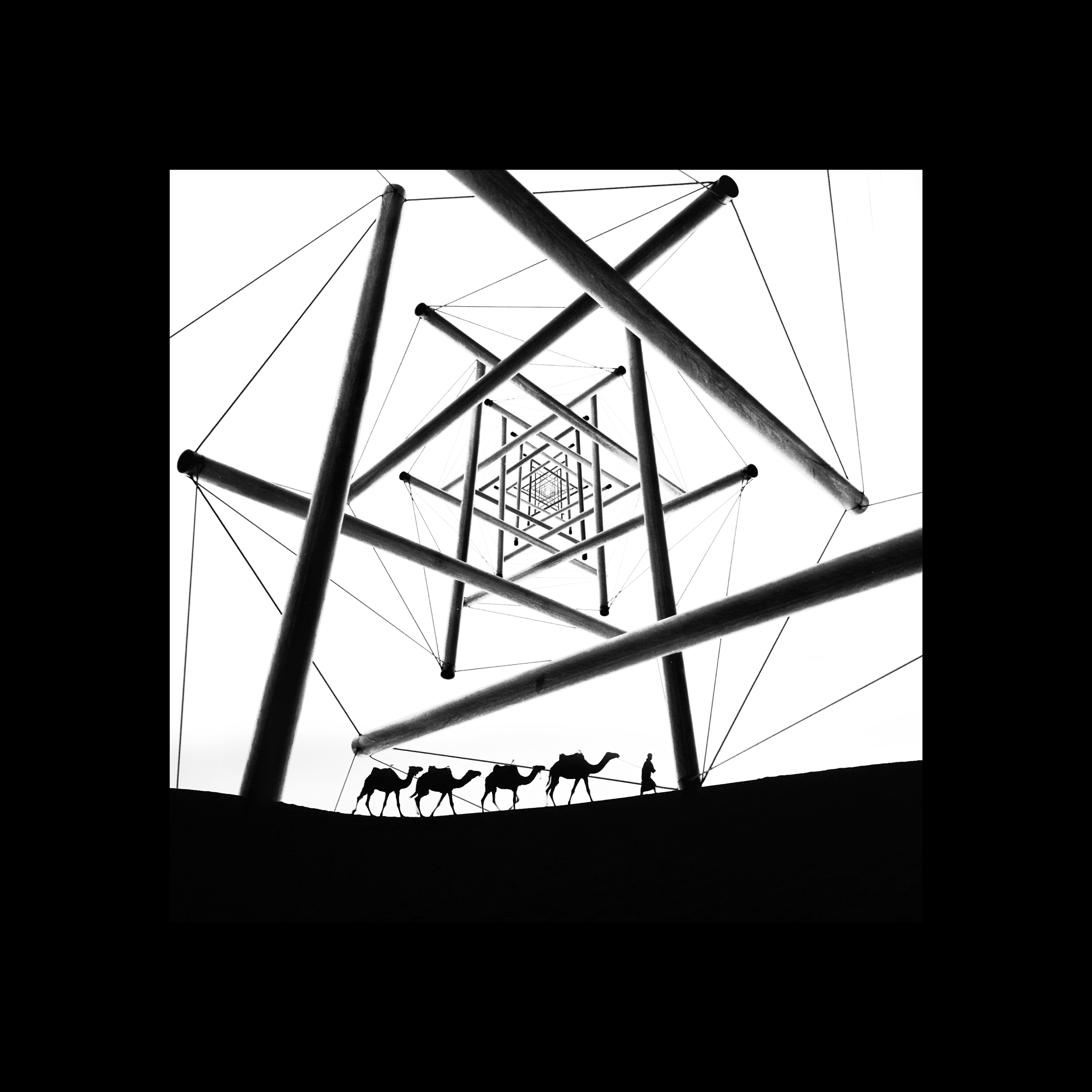 Сollages, 2020 | Black and white — Изображение №17 — Графика на Dprofile