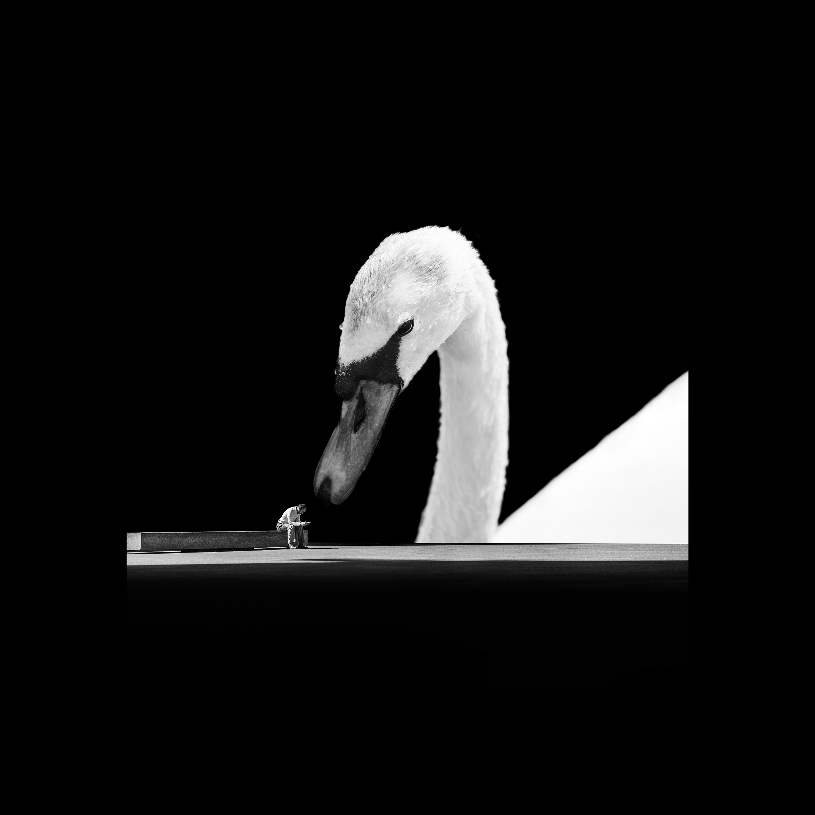 Сollages, 2020 | Black and white — Изображение №9 — Графика на Dprofile