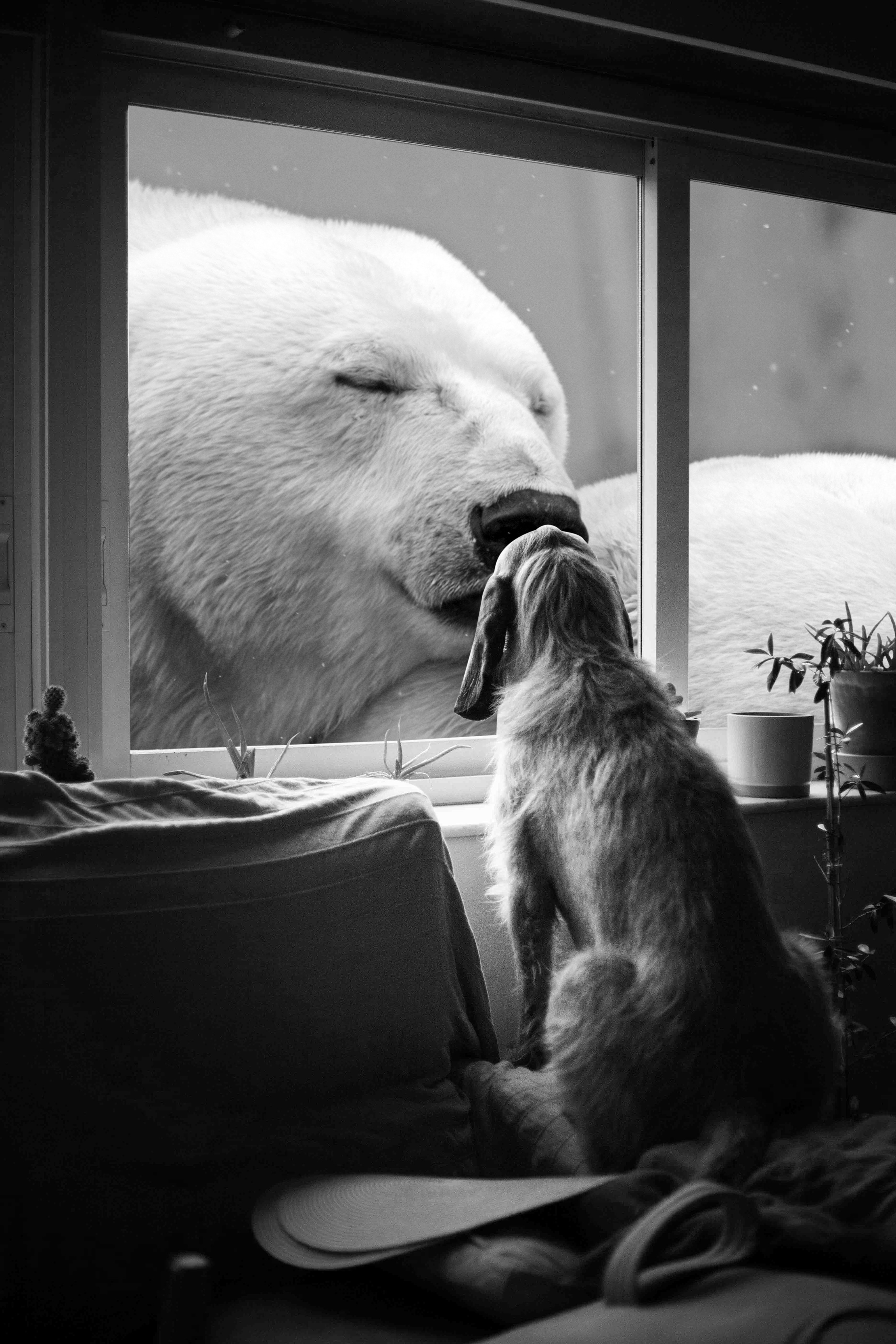 Сollages, 2020 | Black and white — Изображение №19 — Графика на Dprofile
