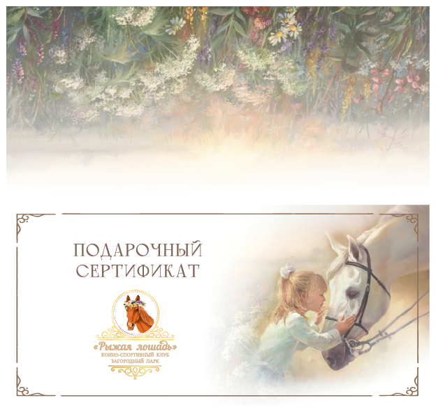 Подарочный сертификат — Изображение №1 — Графика на Dprofile