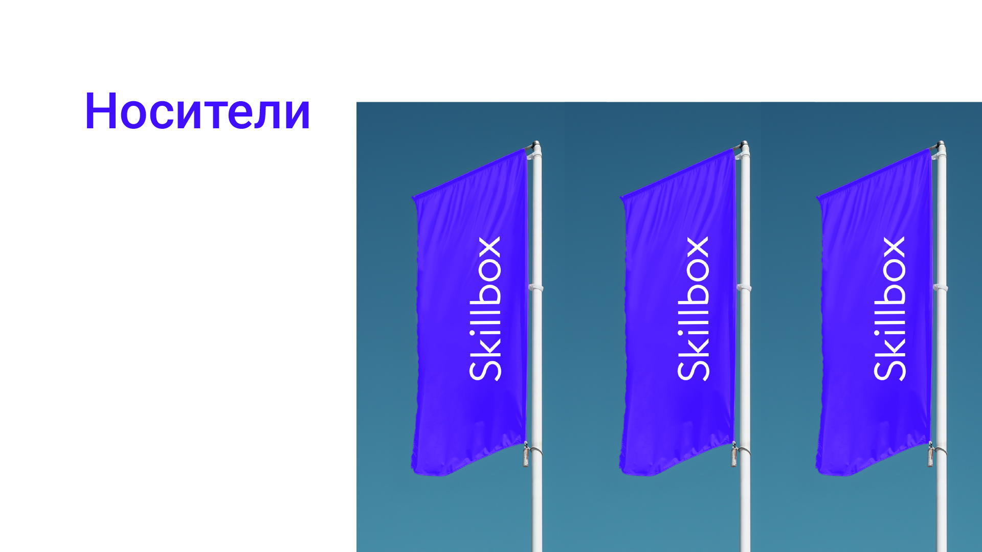 Брендбук для Skillbox — Изображение №24 — Брендинг, Маркетинг на Dprofile