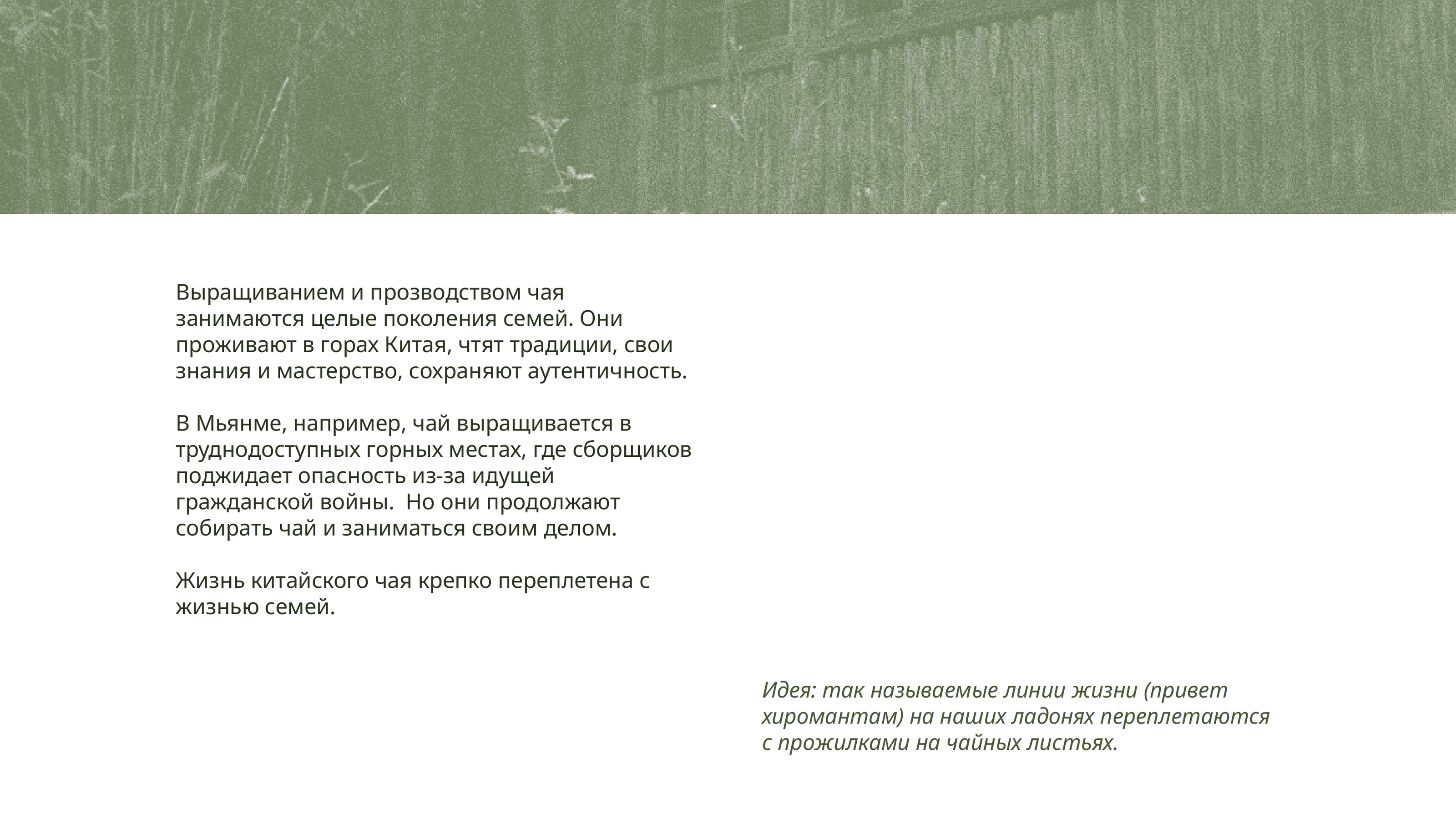 Качаем дизайн // 2024 — Изображение №6 — Брендинг, Графика на Dprofile