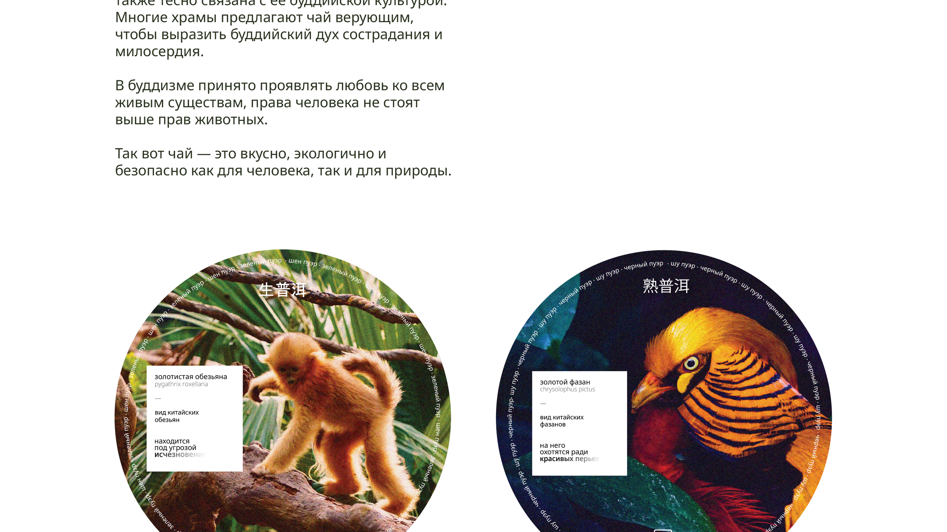 Качаем дизайн // 2024 — Изображение №12 — Брендинг, Графика на Dprofile