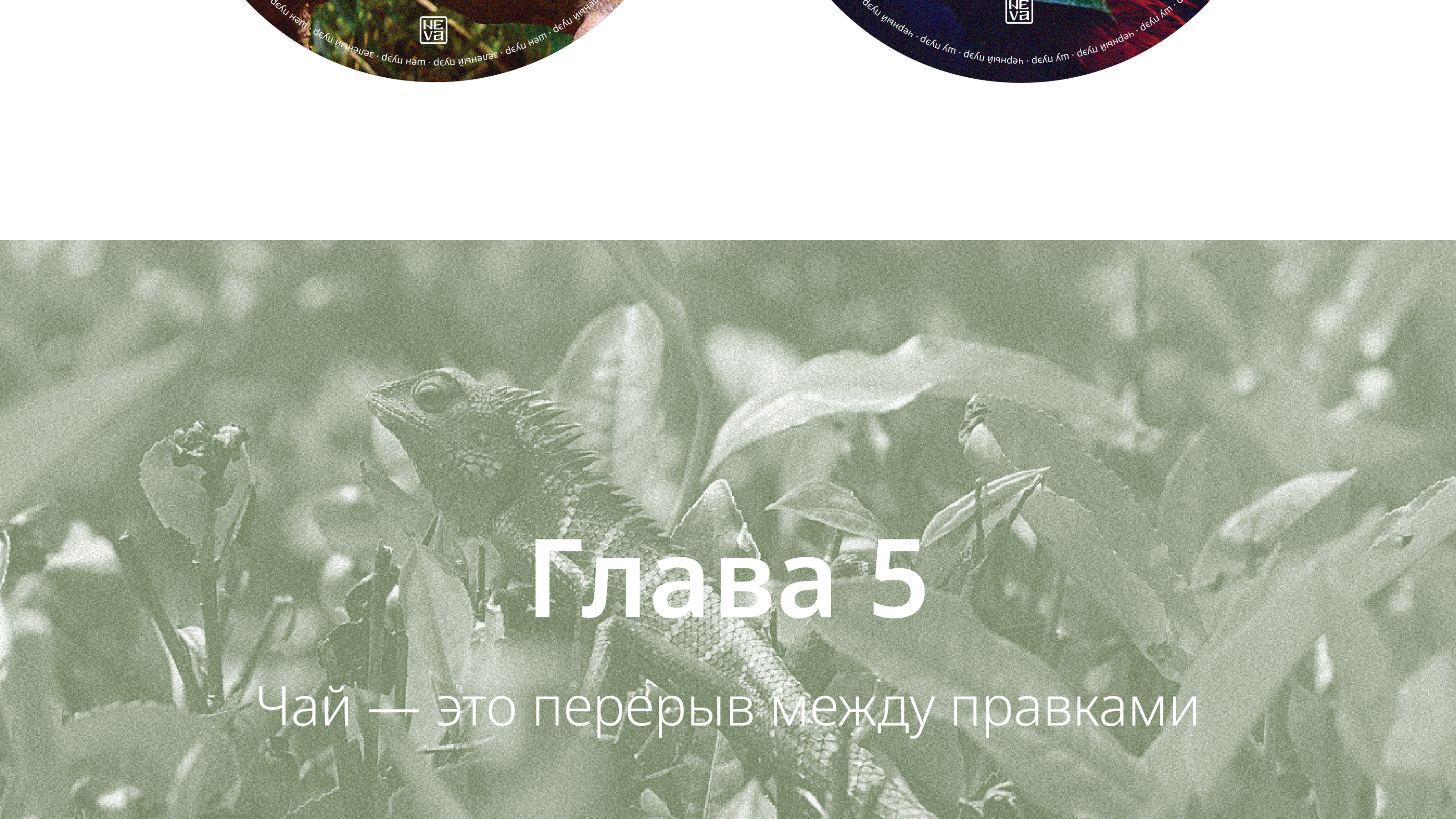 Качаем дизайн // 2024 — Изображение №13 — Брендинг, Графика на Dprofile