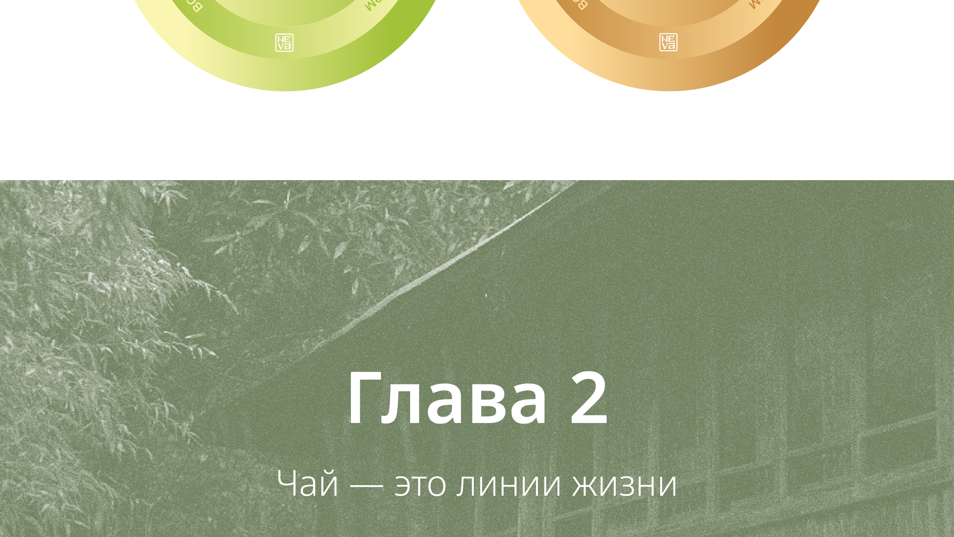 Качаем дизайн // 2024 — Изображение №5 — Брендинг, Графика на Dprofile