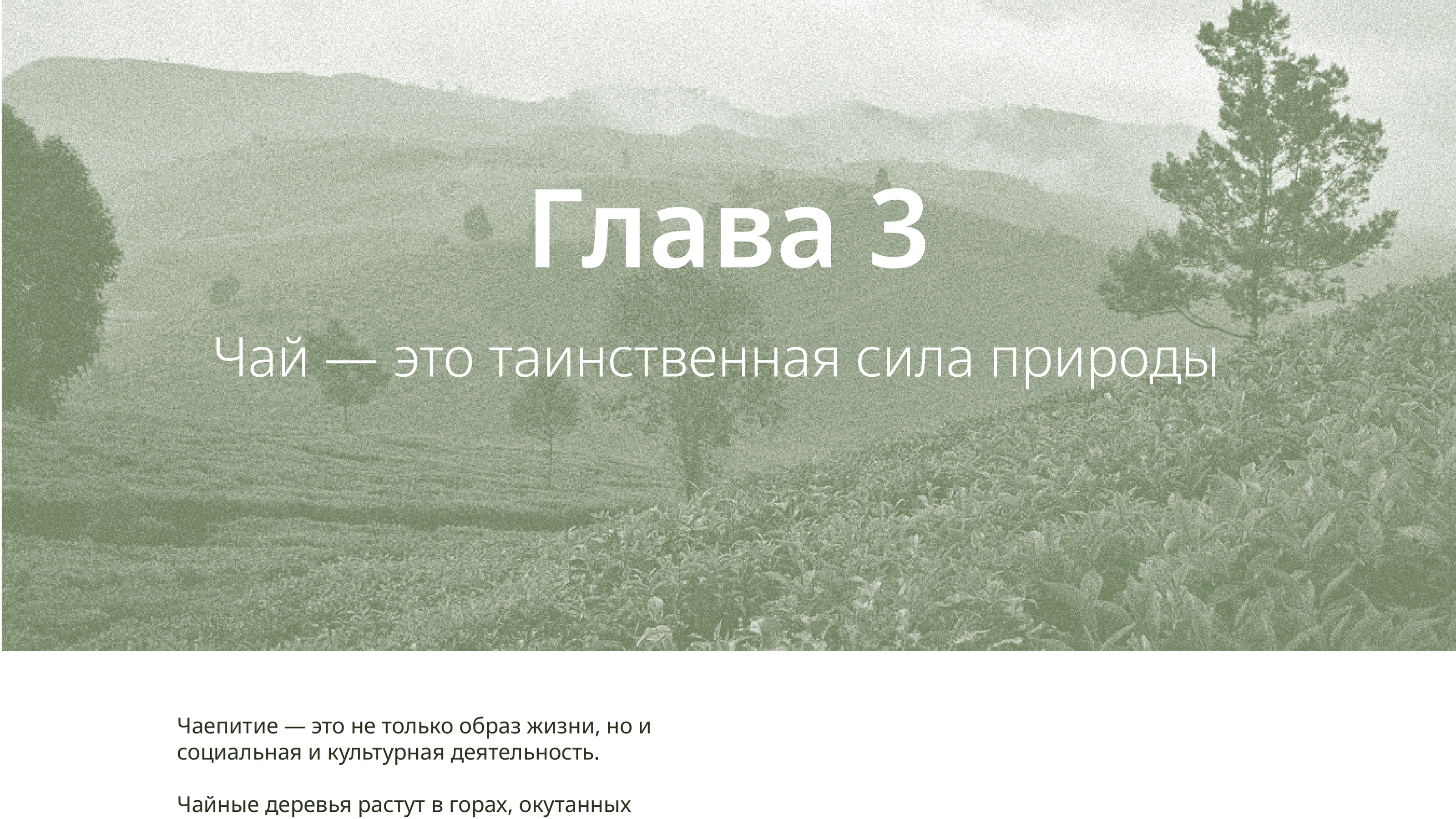 Качаем дизайн // 2024 — Изображение №8 — Брендинг, Графика на Dprofile