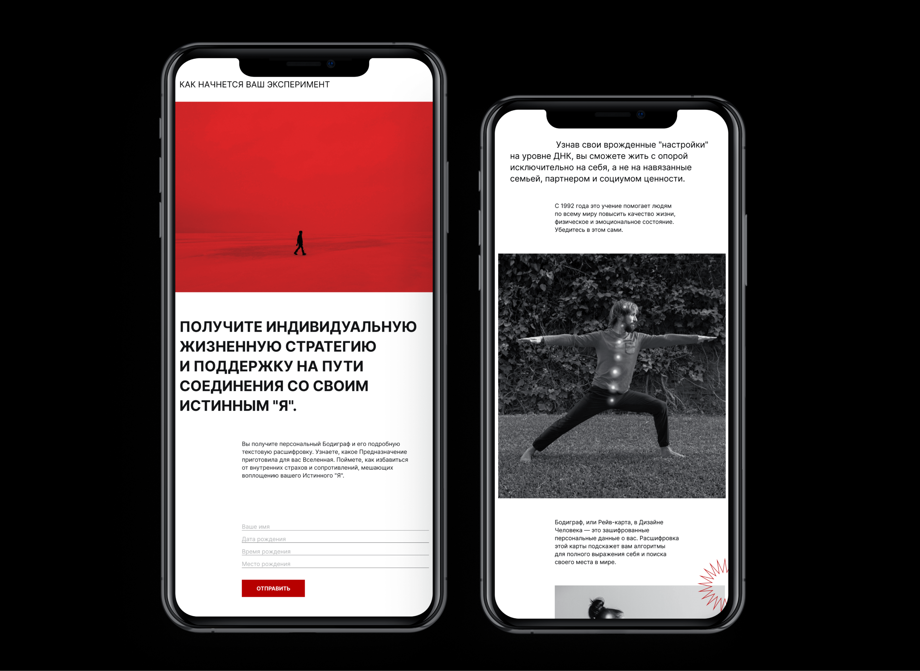 Human Design | Сайт для эксперта в области Дизайна Человека — Изображение №7 — Интерфейсы, Анимация на Dprofile