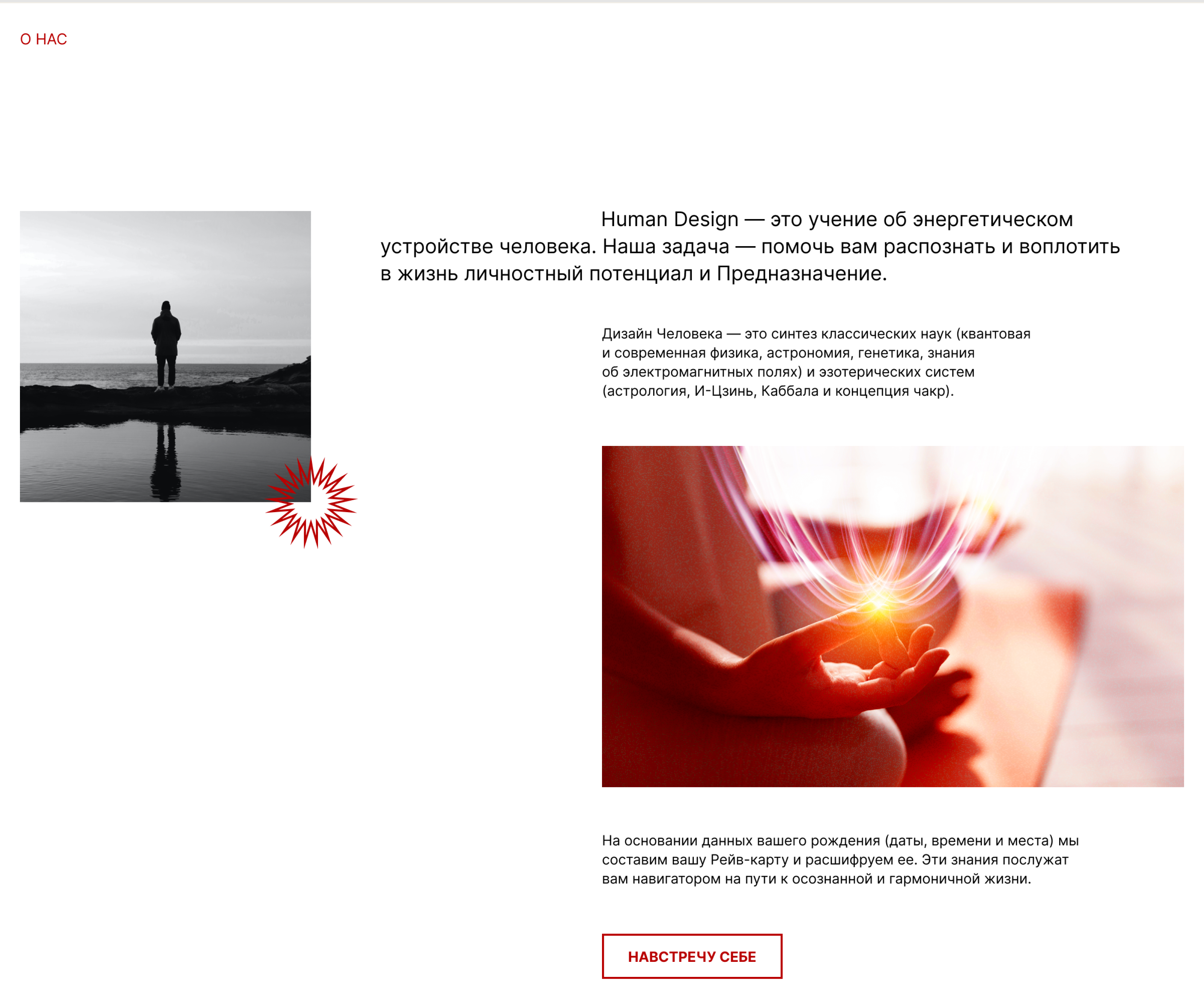 Human Design | Сайт для эксперта в области Дизайна Человека — Изображение №3 — Интерфейсы, Анимация на Dprofile