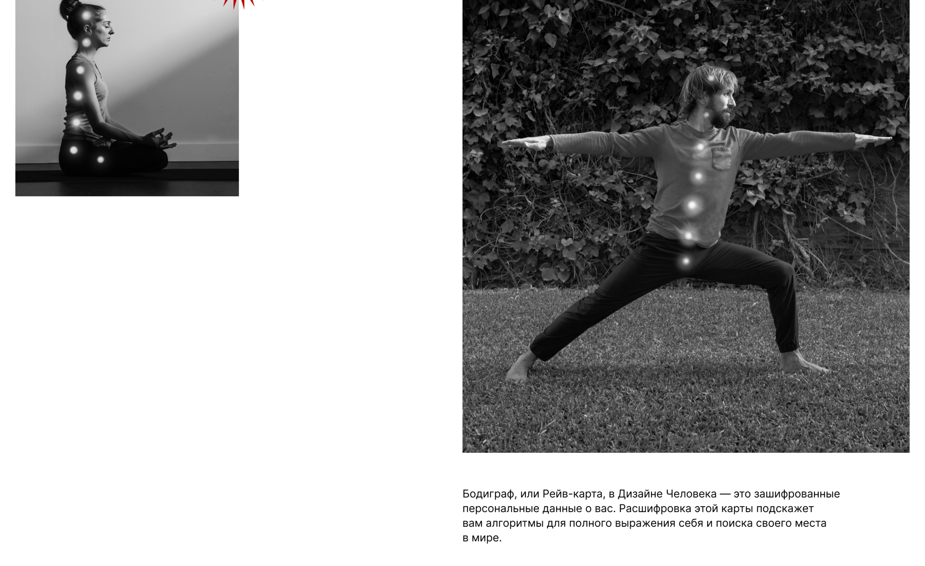 Human Design | Сайт для эксперта в области Дизайна Человека — Изображение №6 — Интерфейсы, Анимация на Dprofile