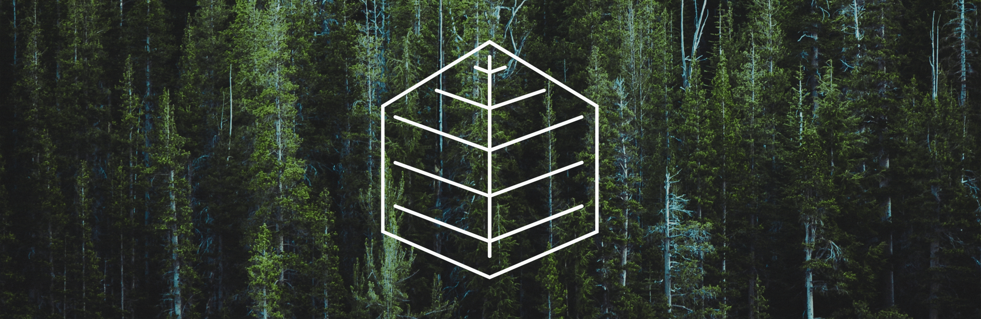 Ladoga Log Home айдентика — Изображение №3 — Брендинг, Графика на Dprofile