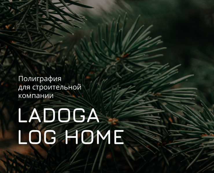 Ladoga Log Home — Графика на Dprofile